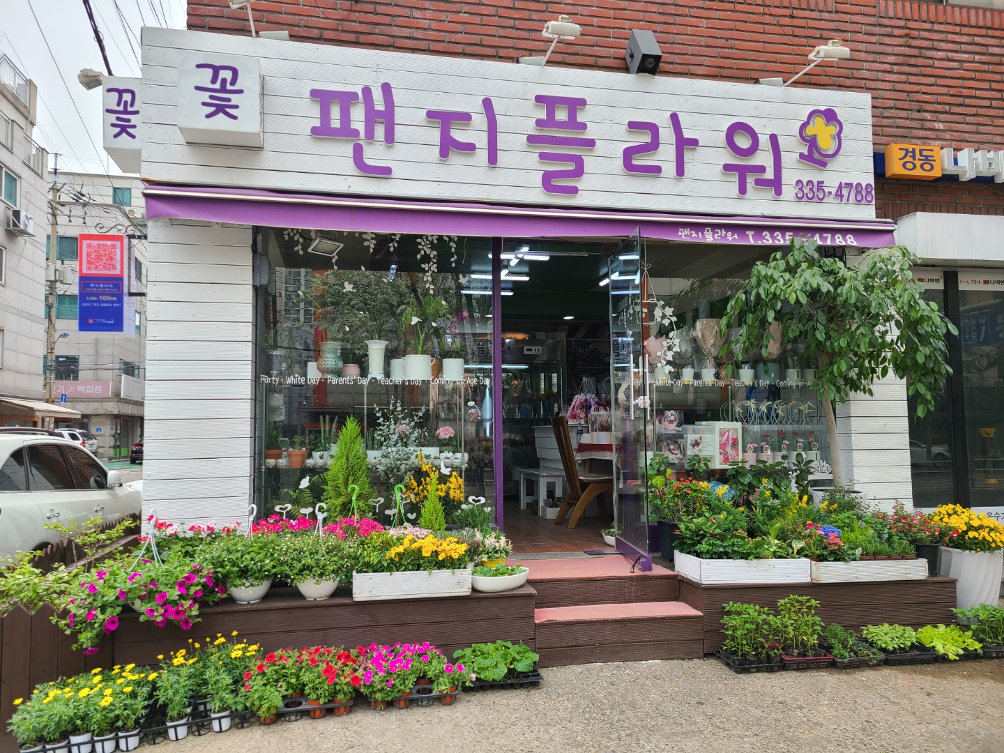 팬지플라워