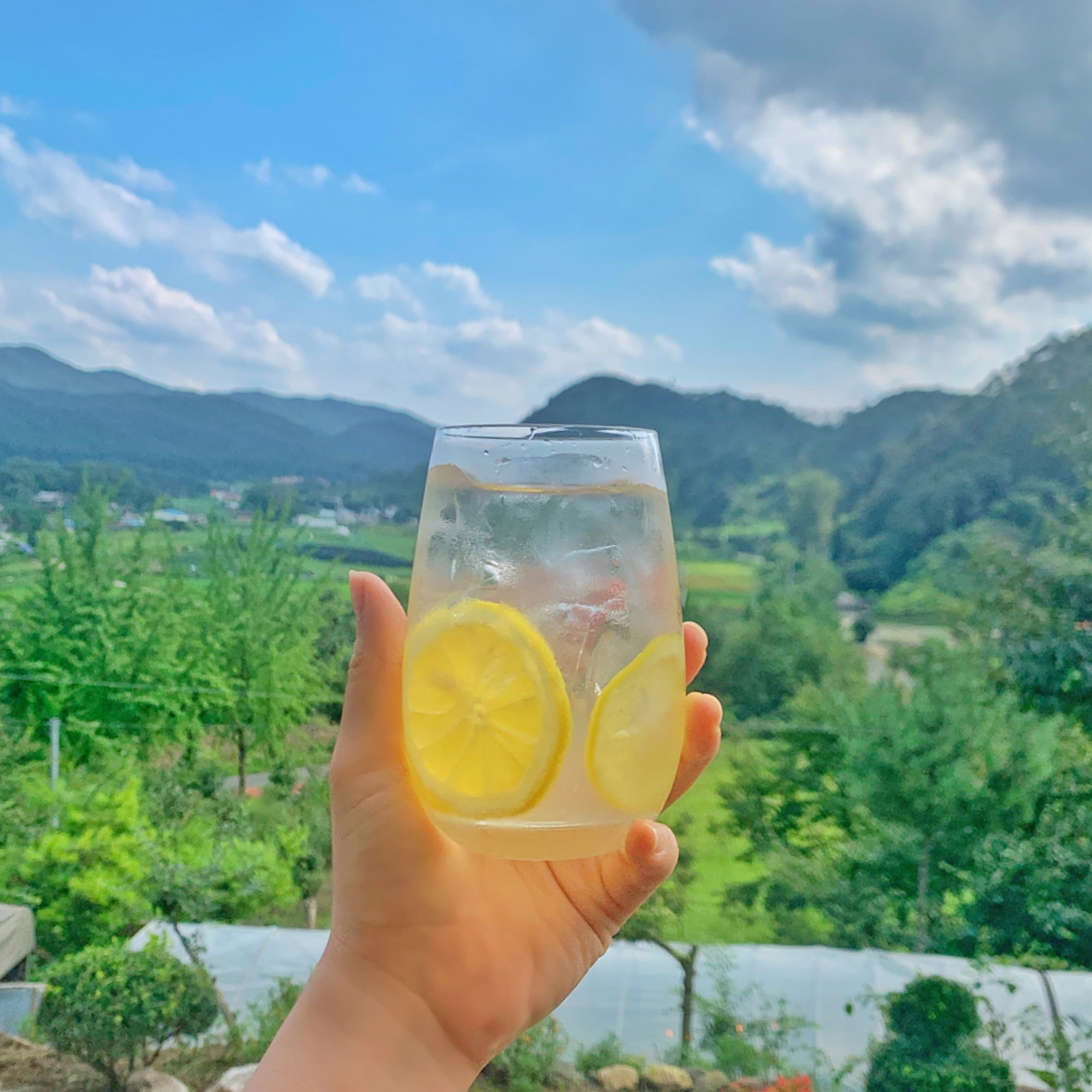 카페다경 대표 이미지