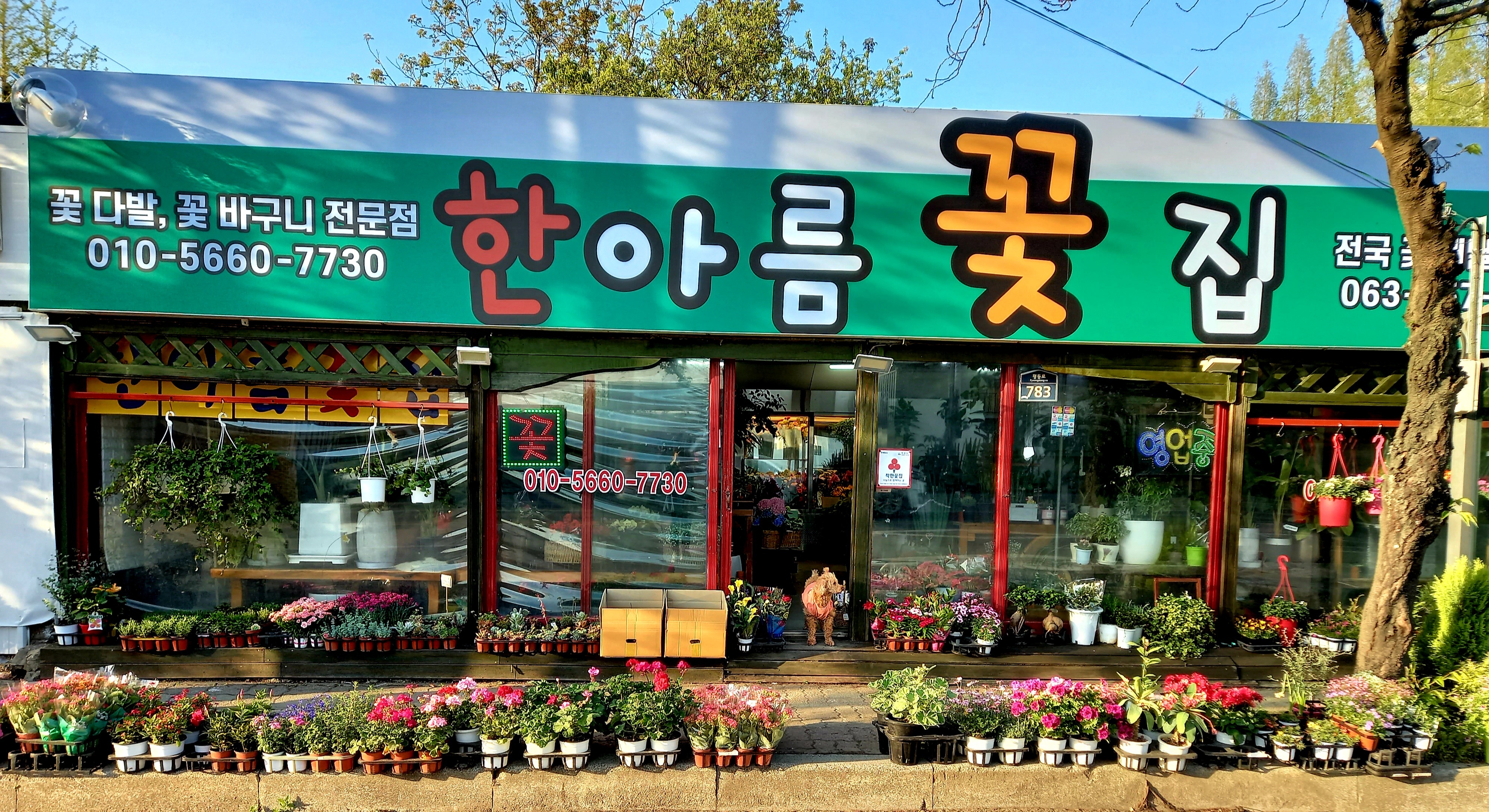 한아름꽃집