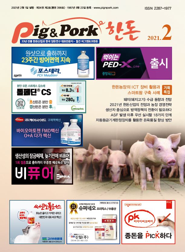 피그앤포크한돈