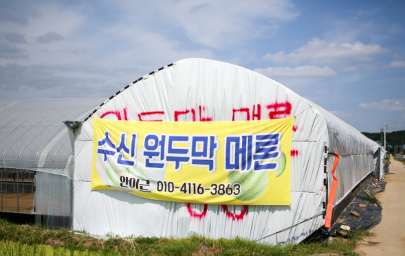 원두막메론