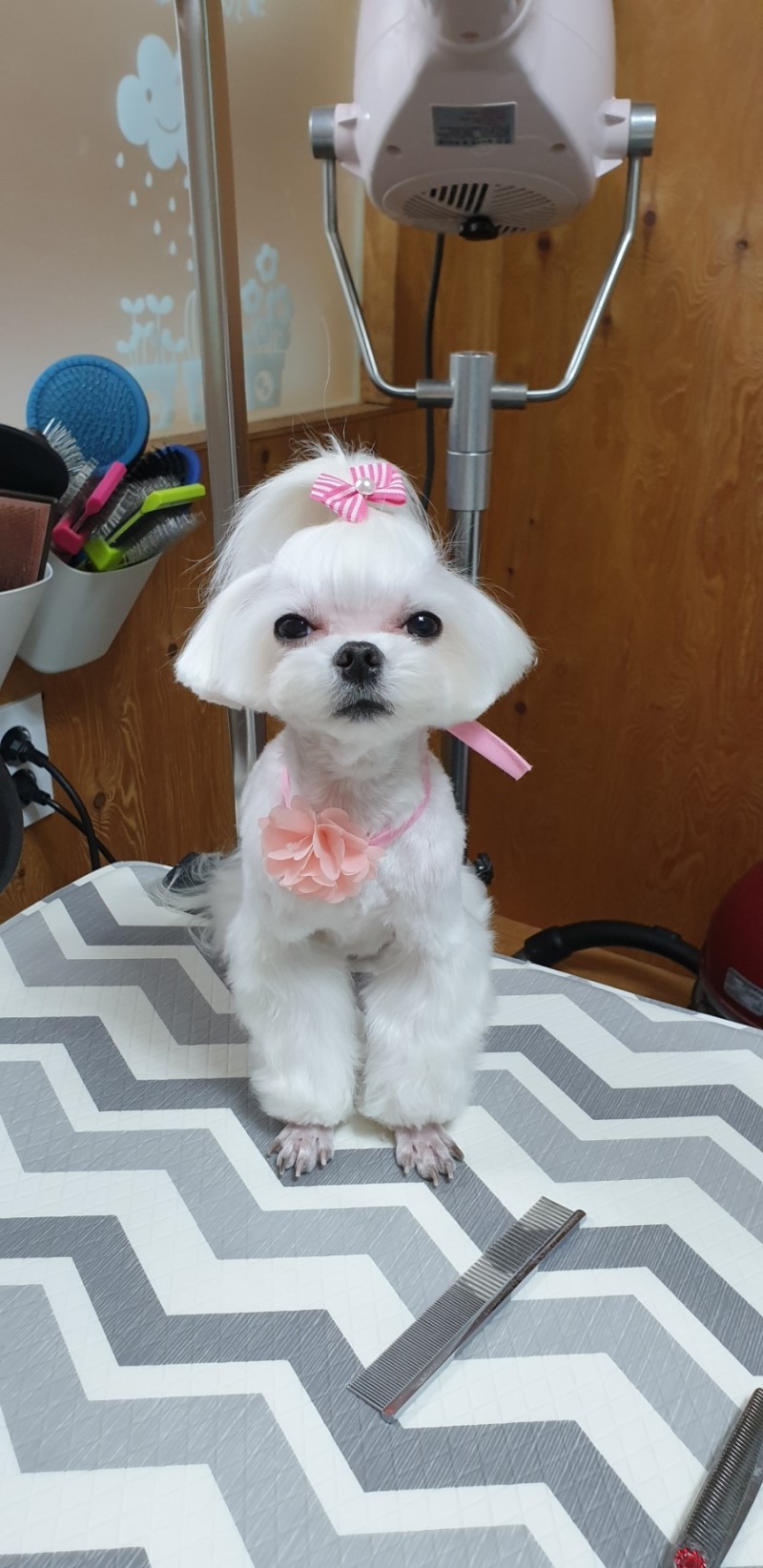 주변 가볼만한 곳