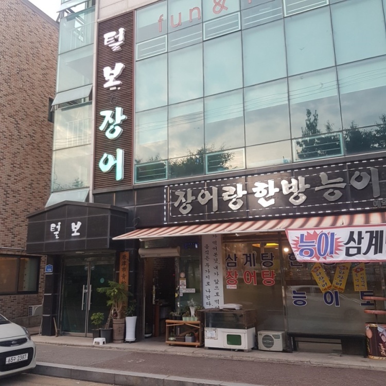털보장어