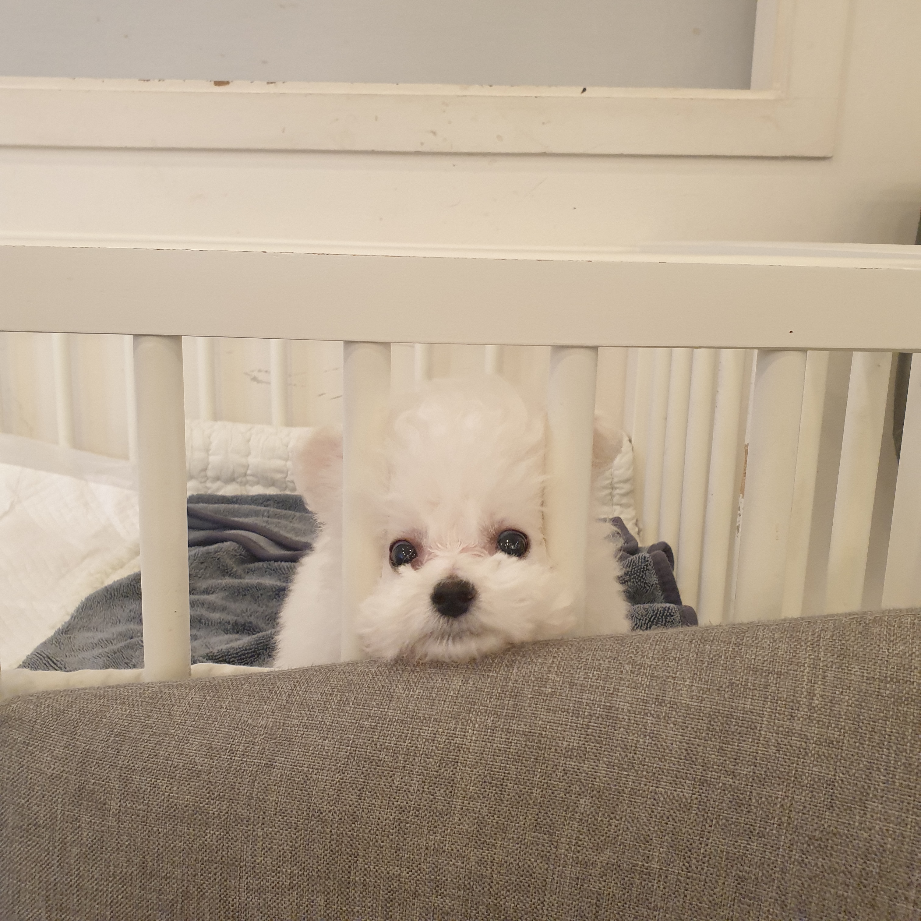 주변 가볼만한 곳