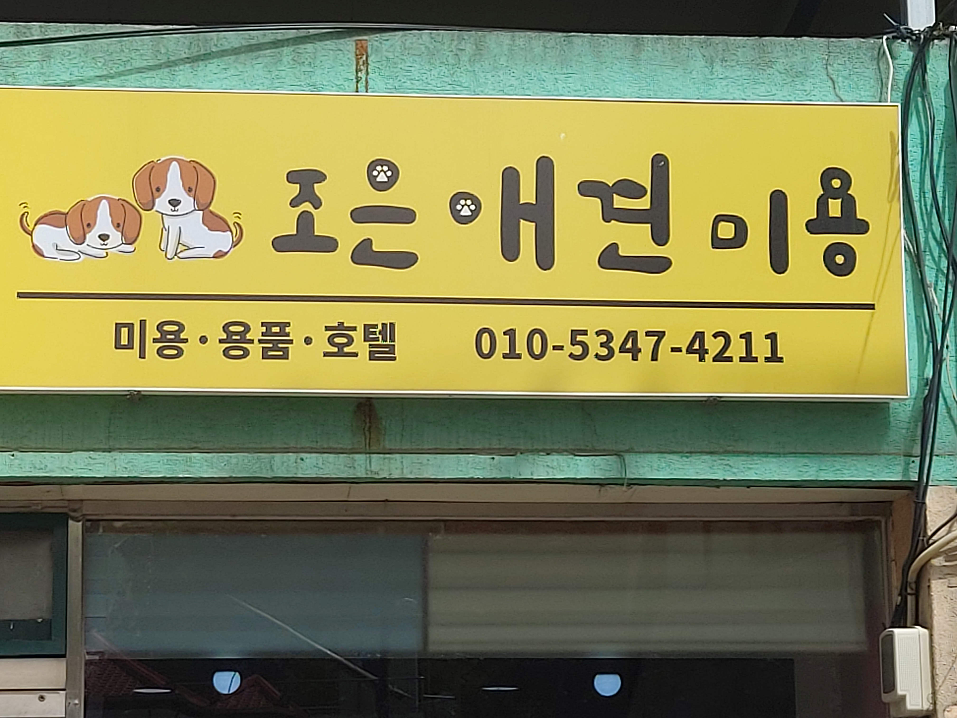 조은애견
