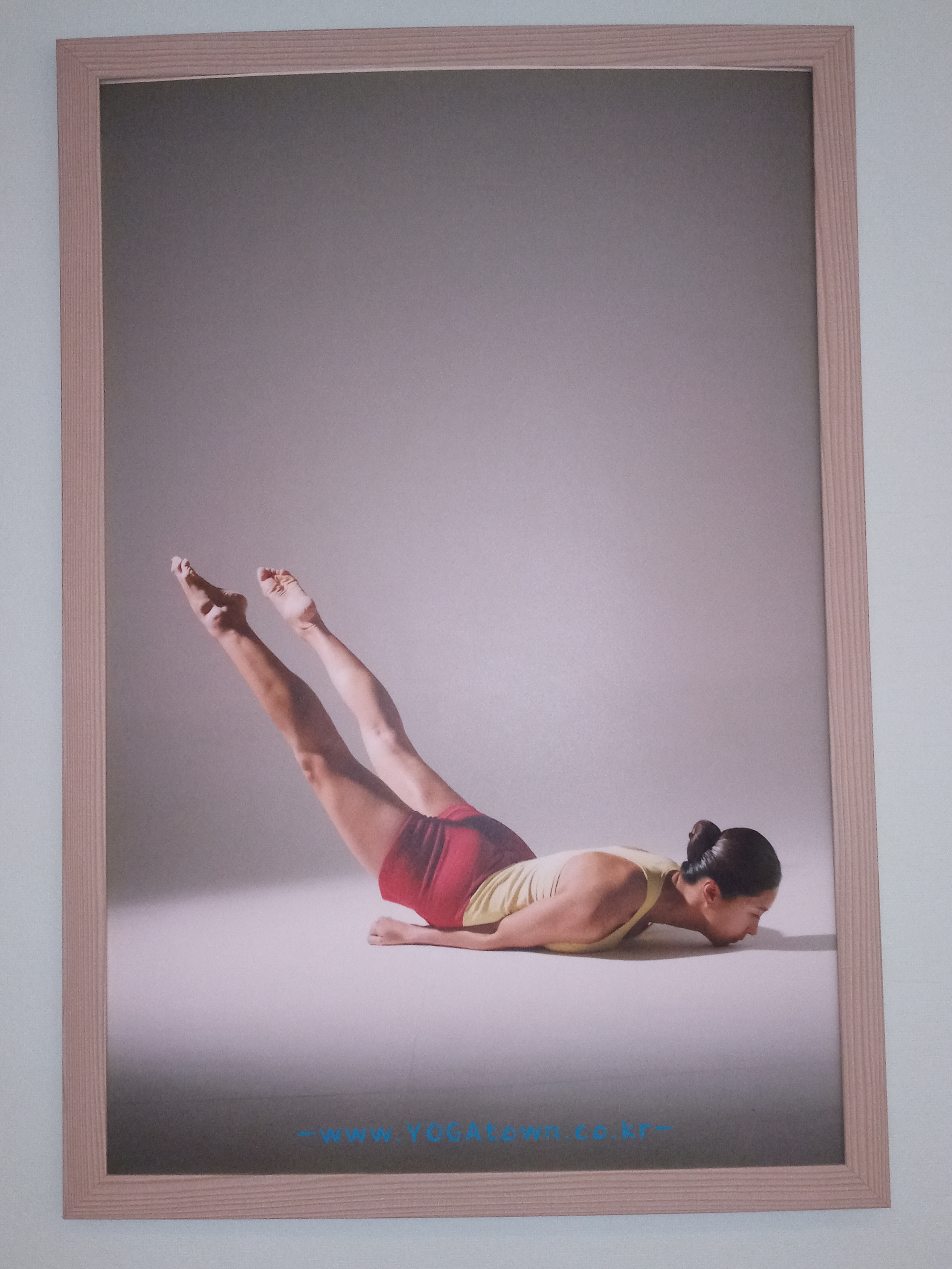 요가타운 서소문교육원 대표 이미지