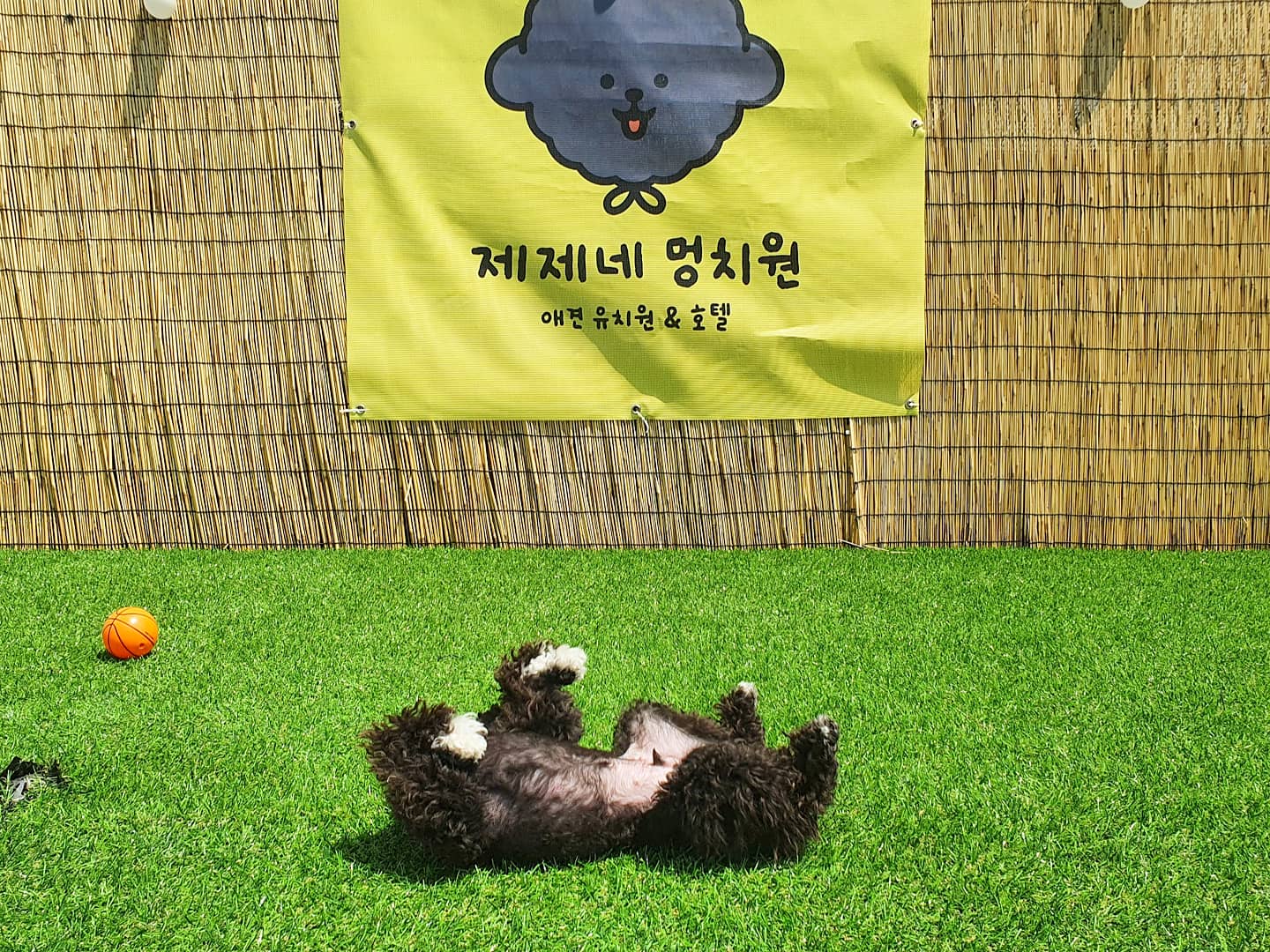 주변 가볼만한 곳