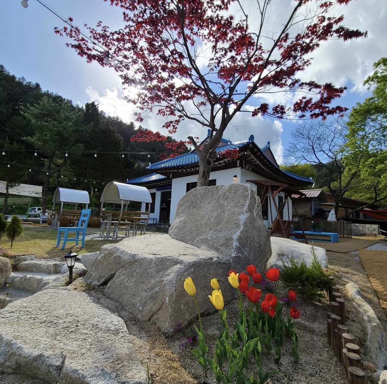 광덕 별아래