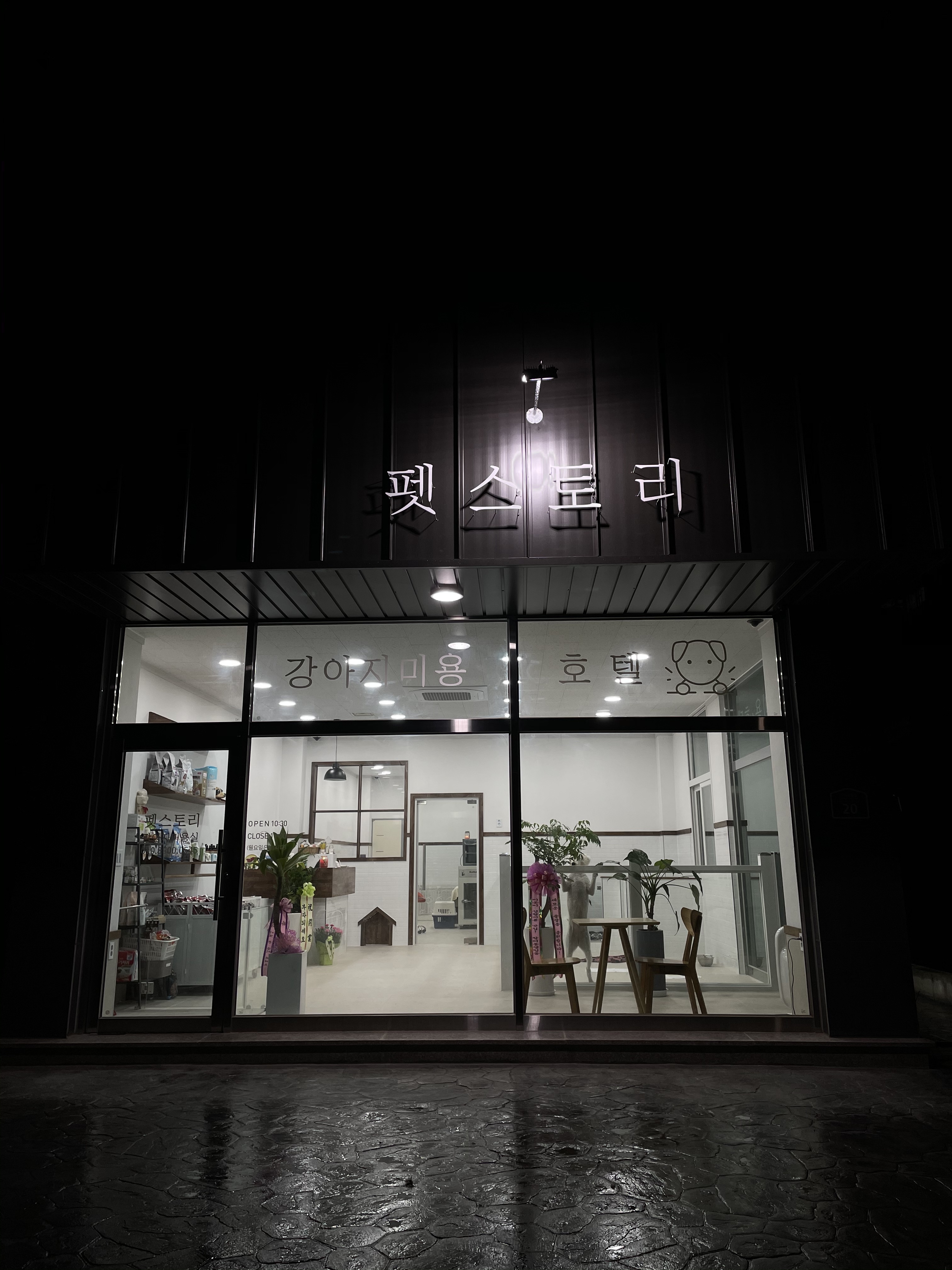 펫스토리 대표 이미지