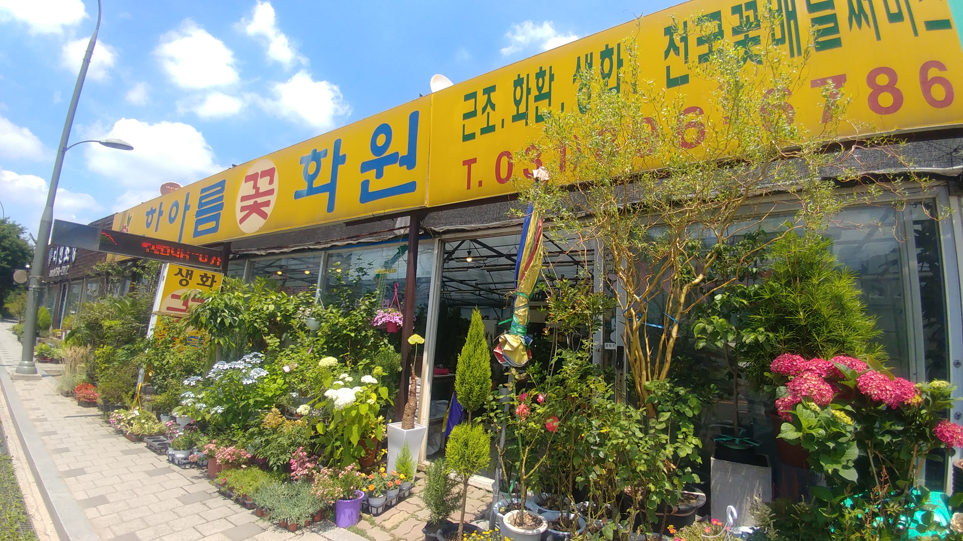 한아름꽃화원