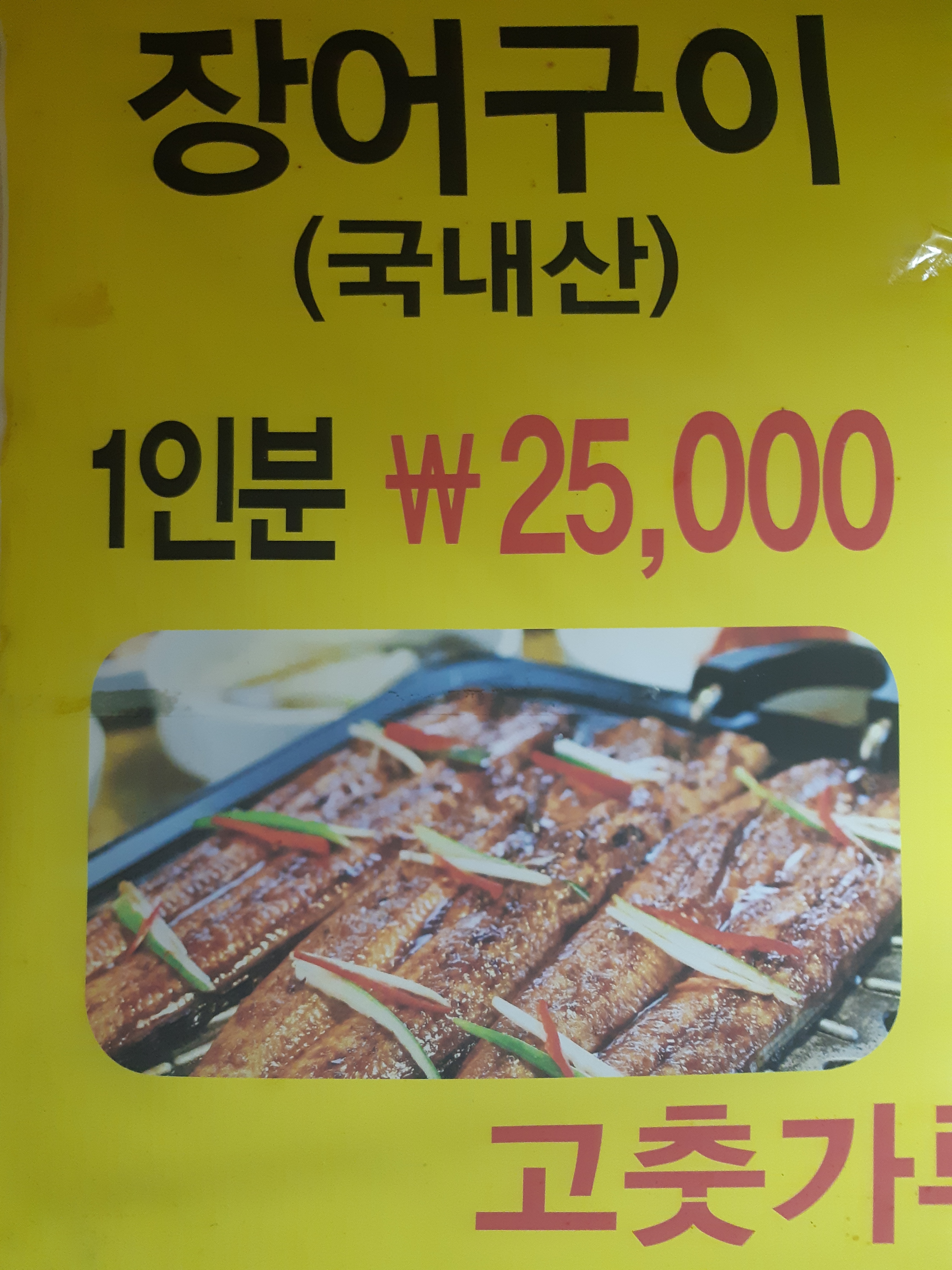 우수영민물장어