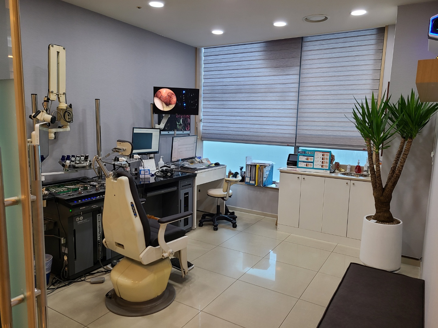 두리이비인후과의원 오창점 대표 이미지