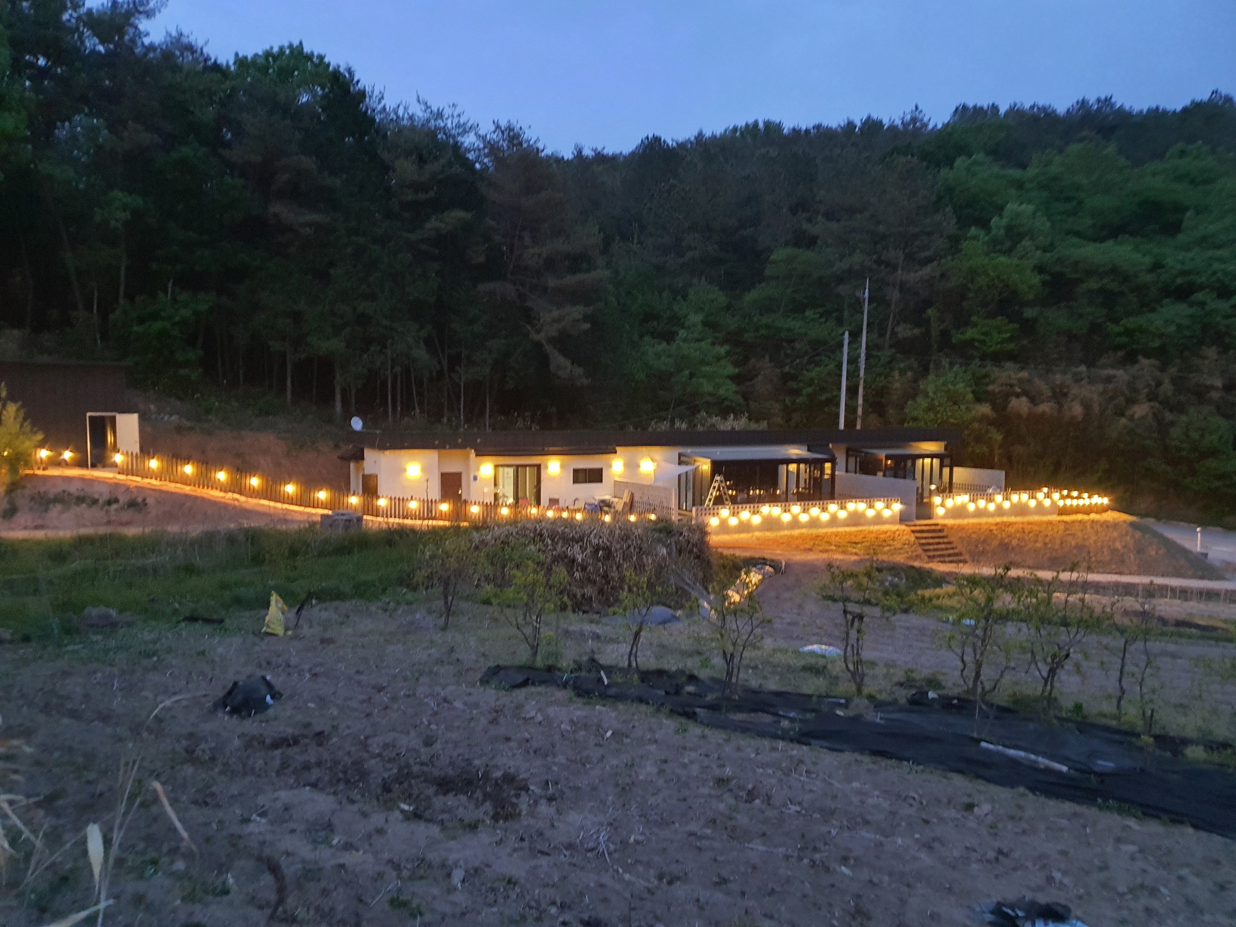 구르미펜션 반려동물 동반 애견카페