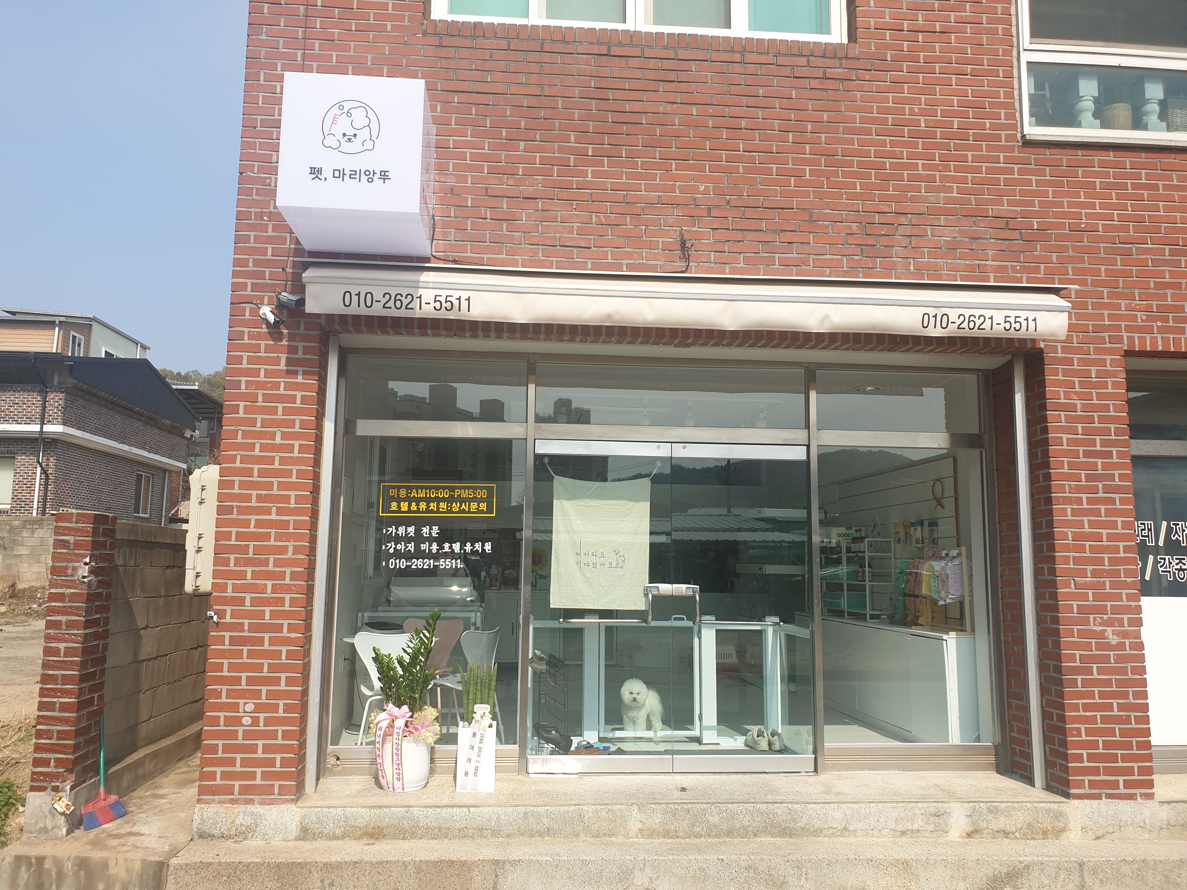 펫마리앙뚜 대표 이미지