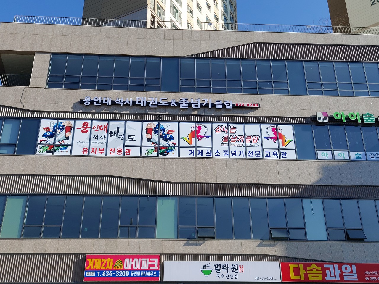 용인대석사태권도