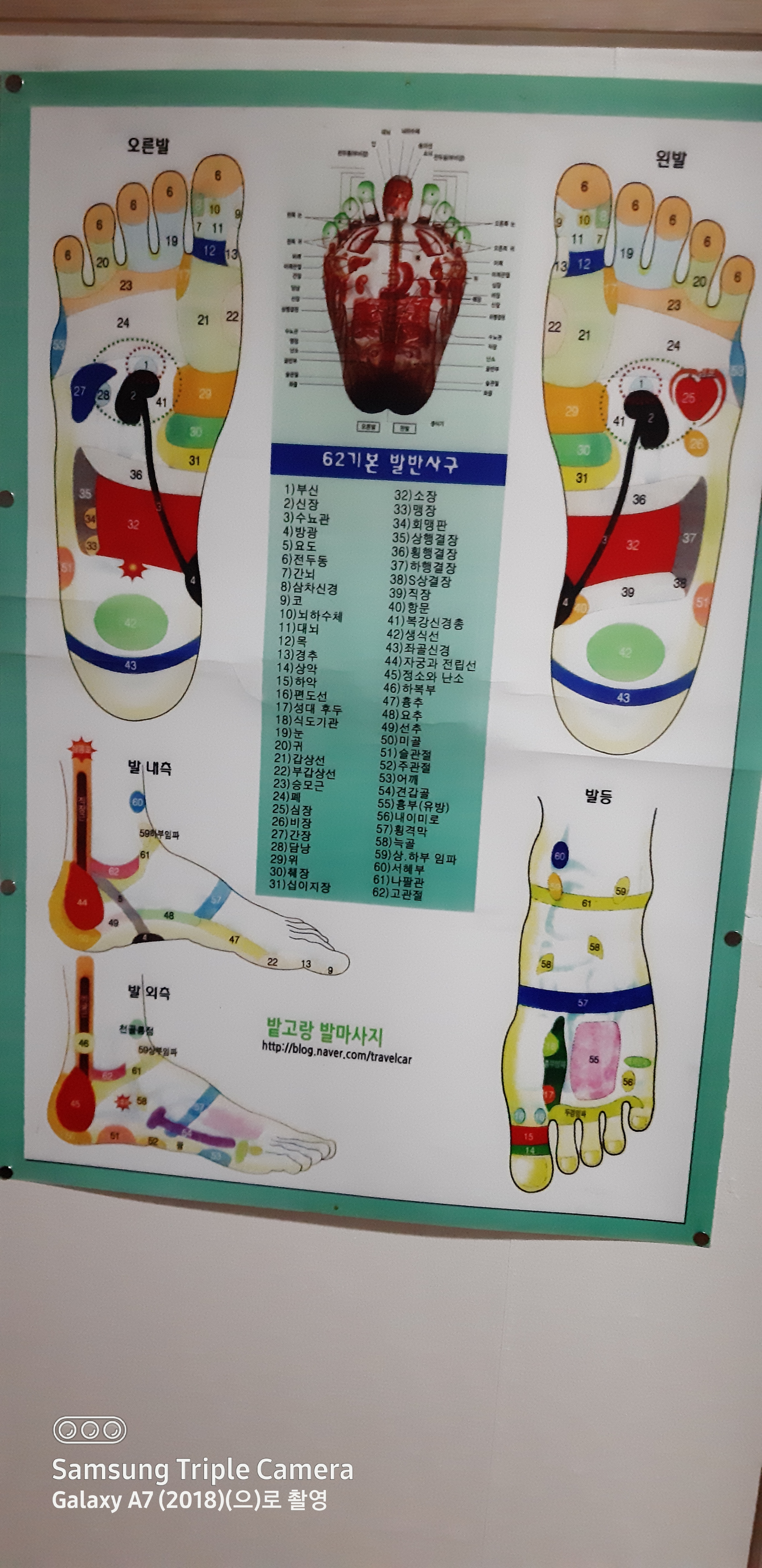 중국정통발관리