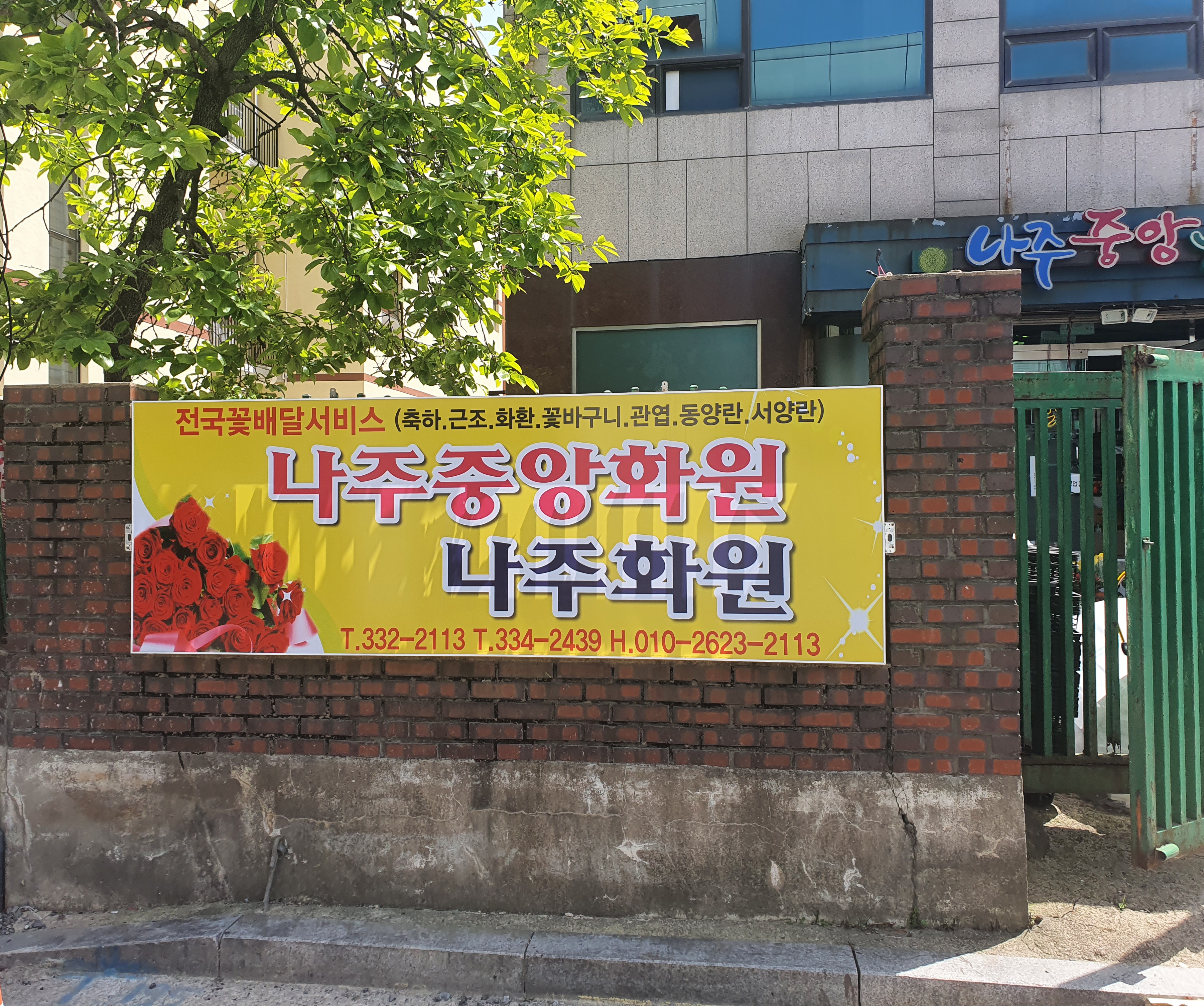 중앙화원