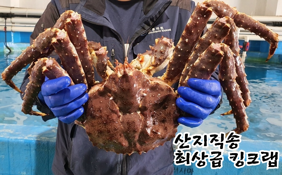 써니야오빠왔다