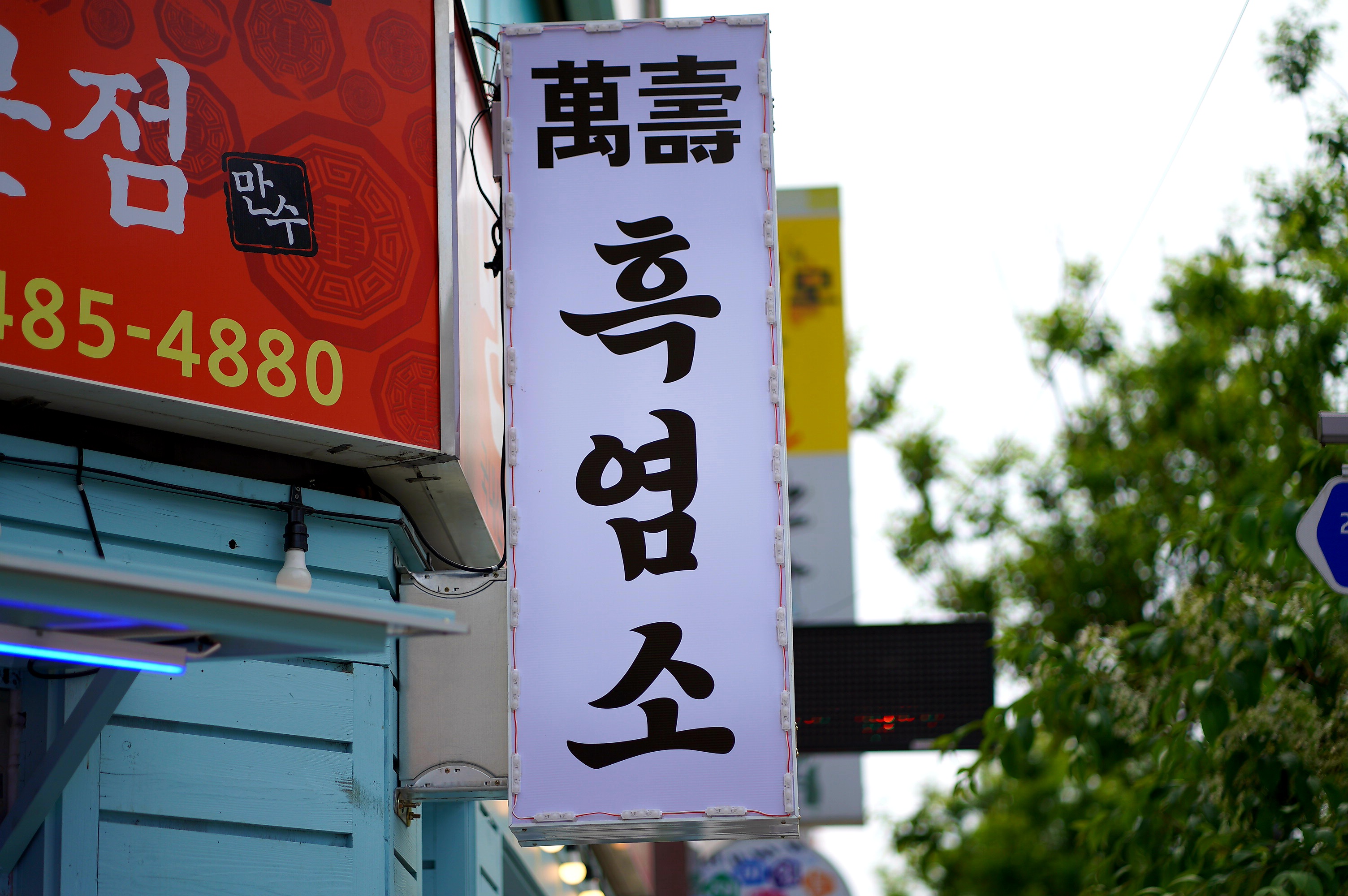 만수흑염소