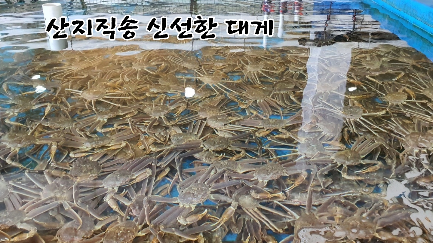 써니야오빠왔다