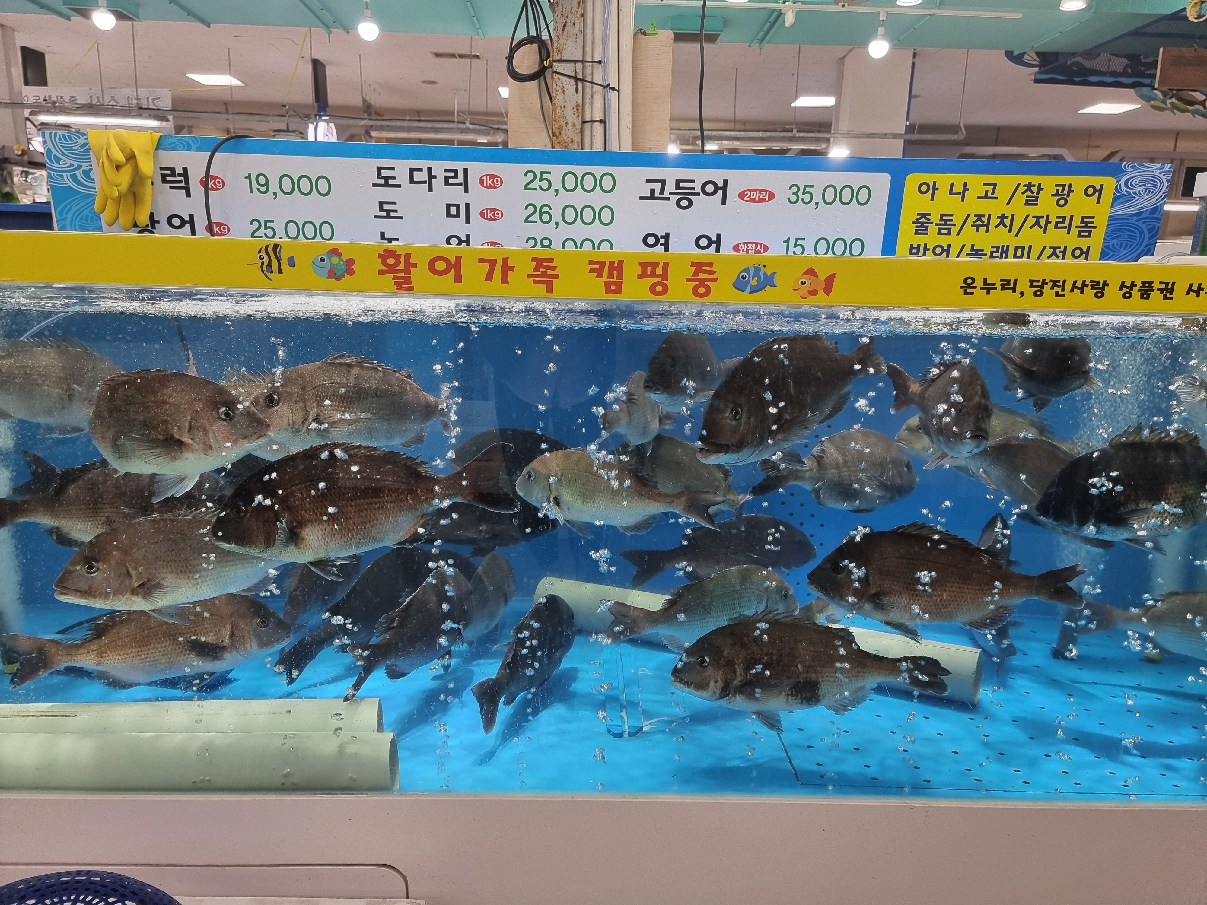 어장회센타