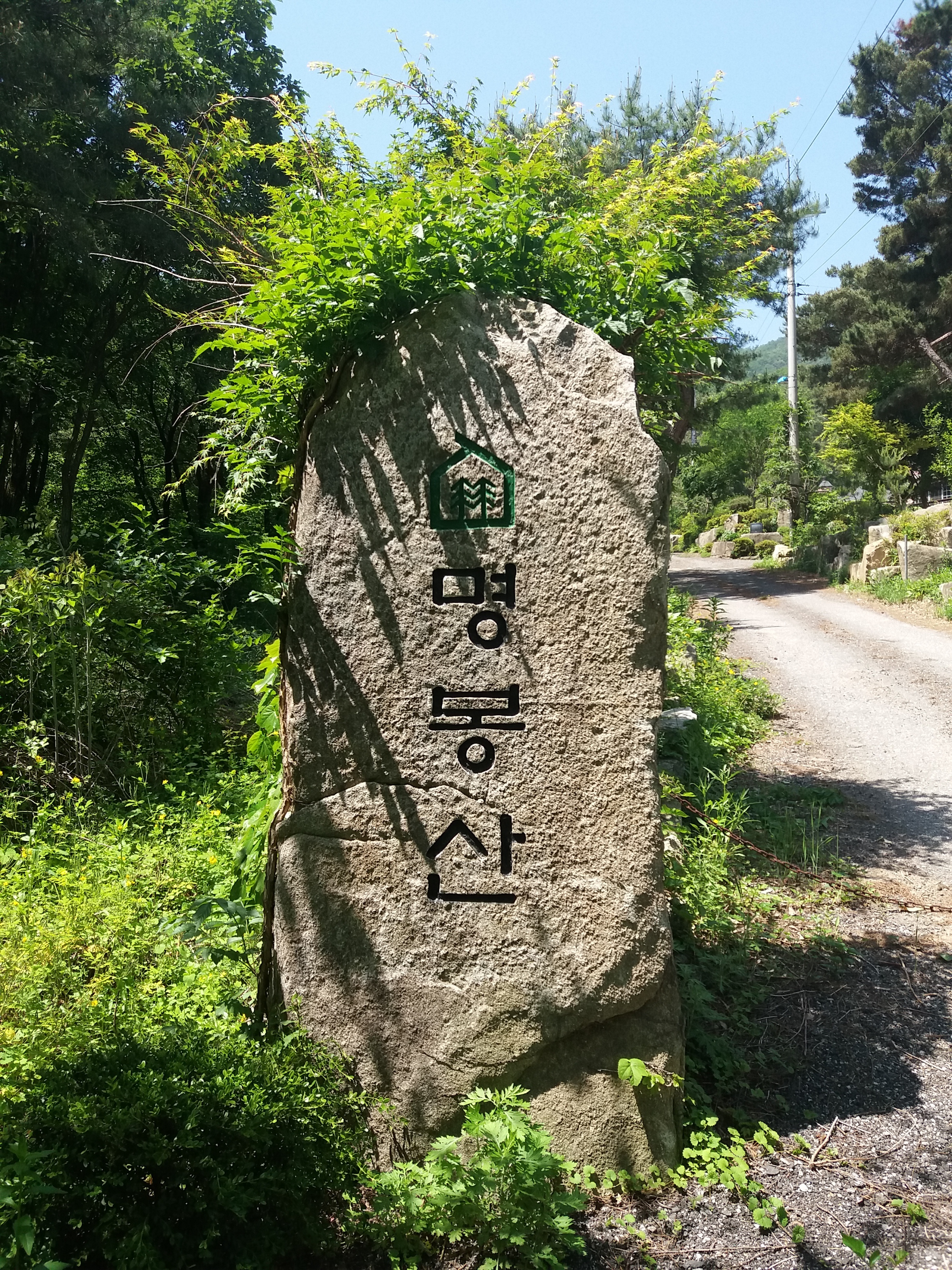 캠핑장 사진