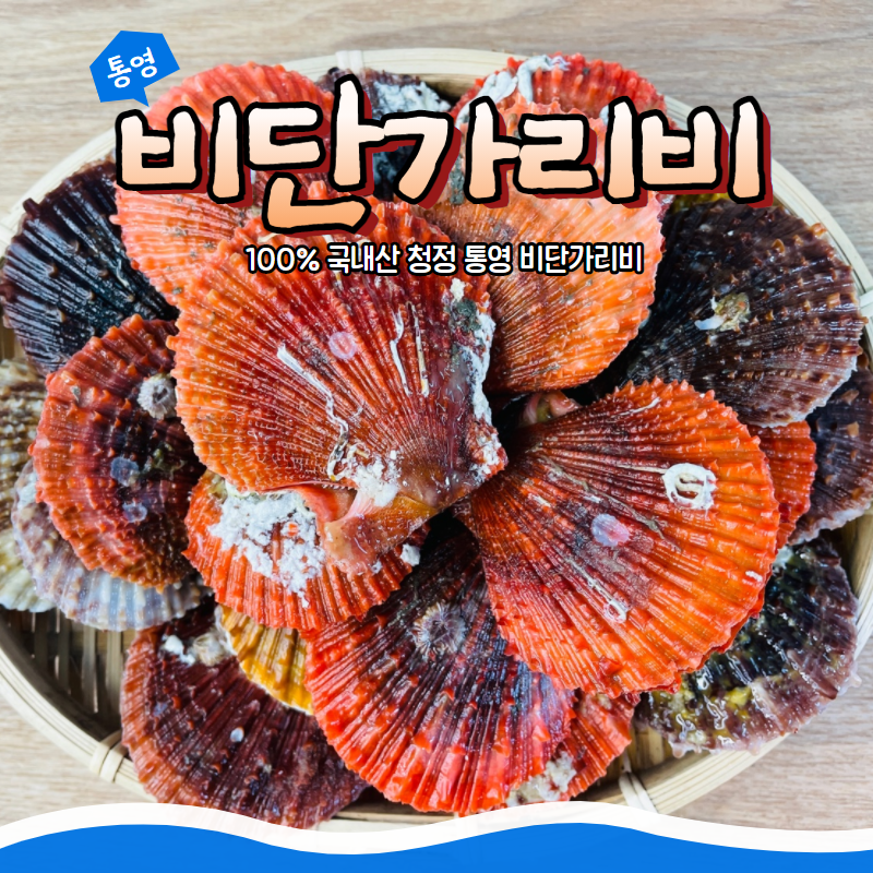 통영바다를담다