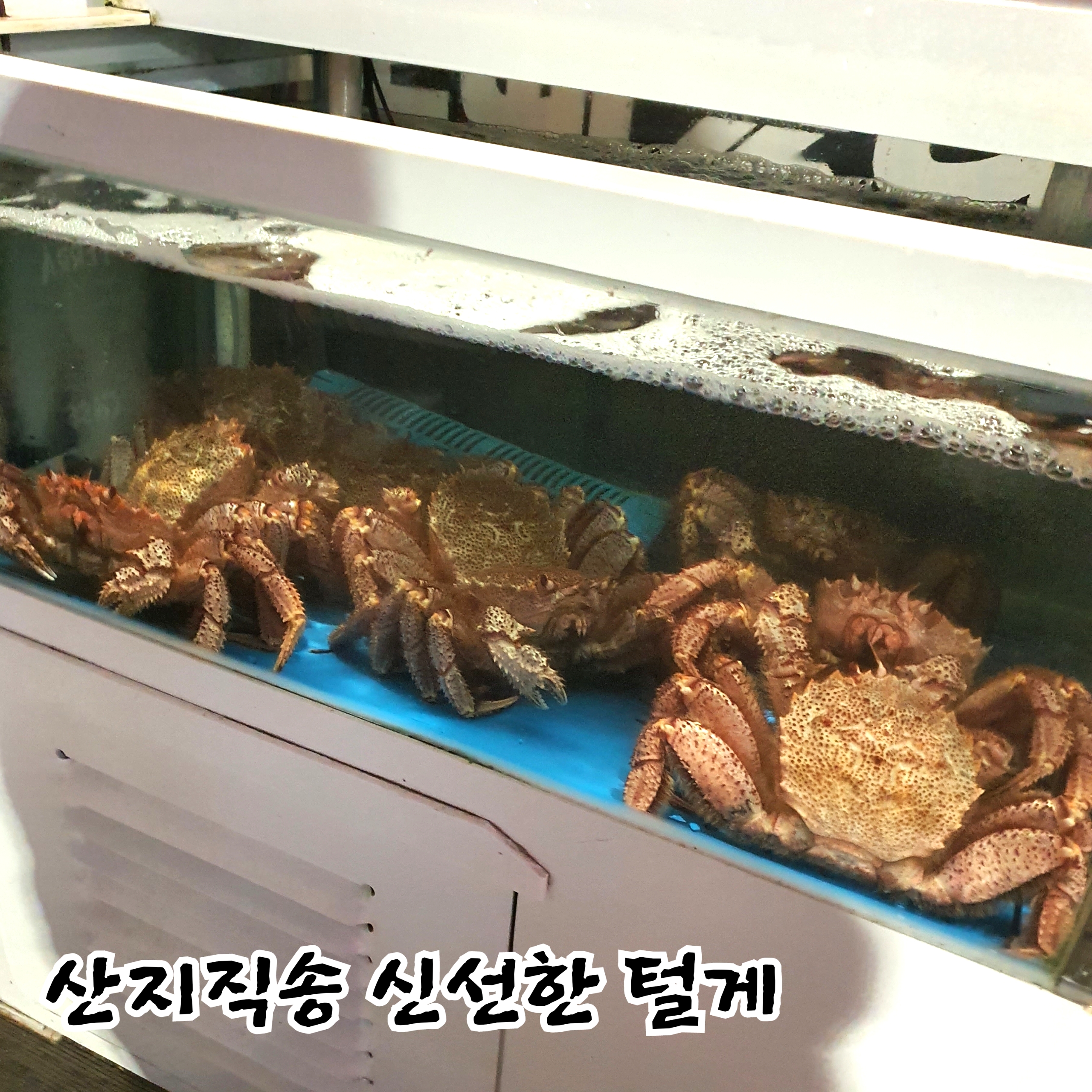 써니야오빠왔다