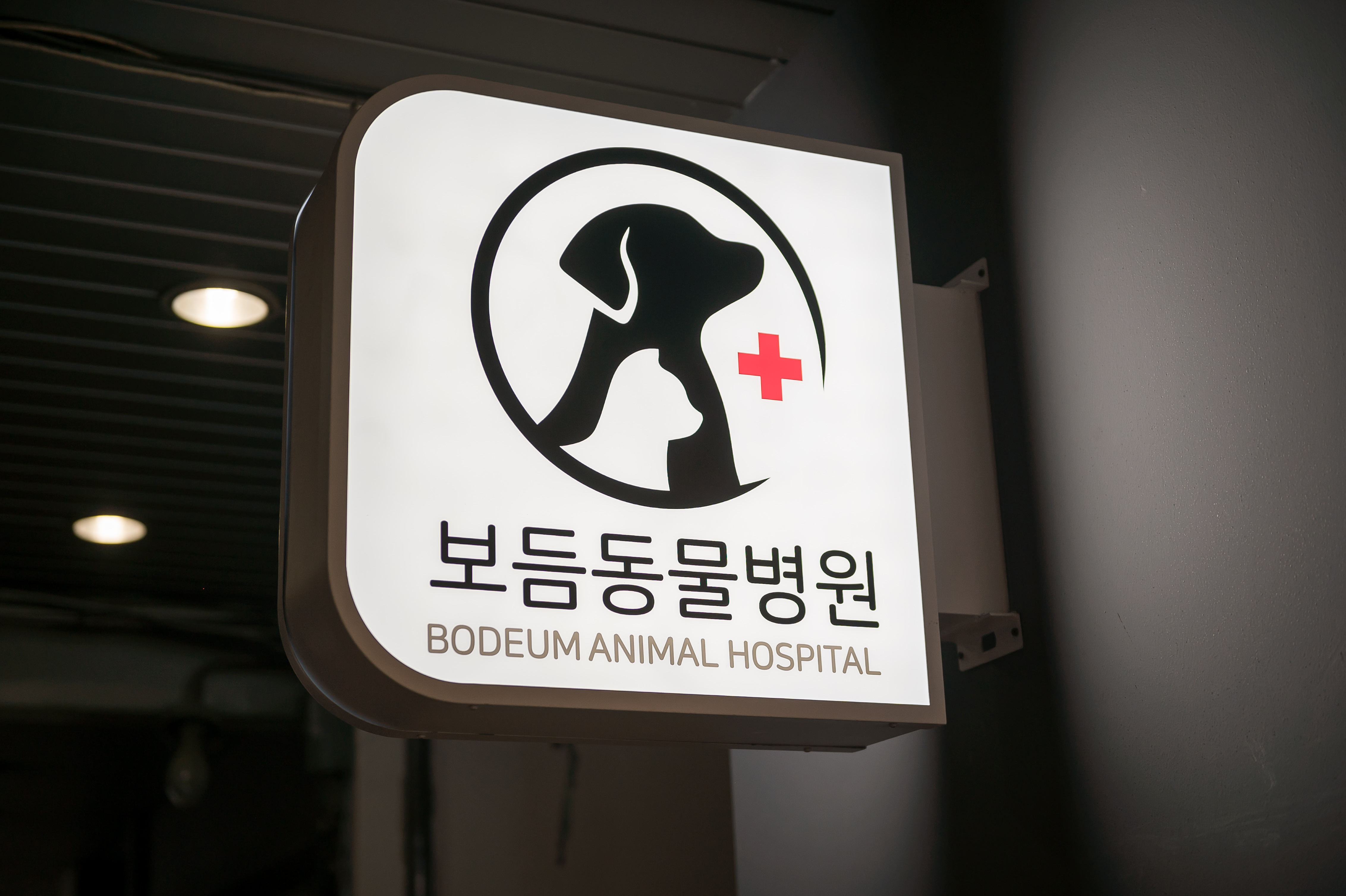 보듬동물병원