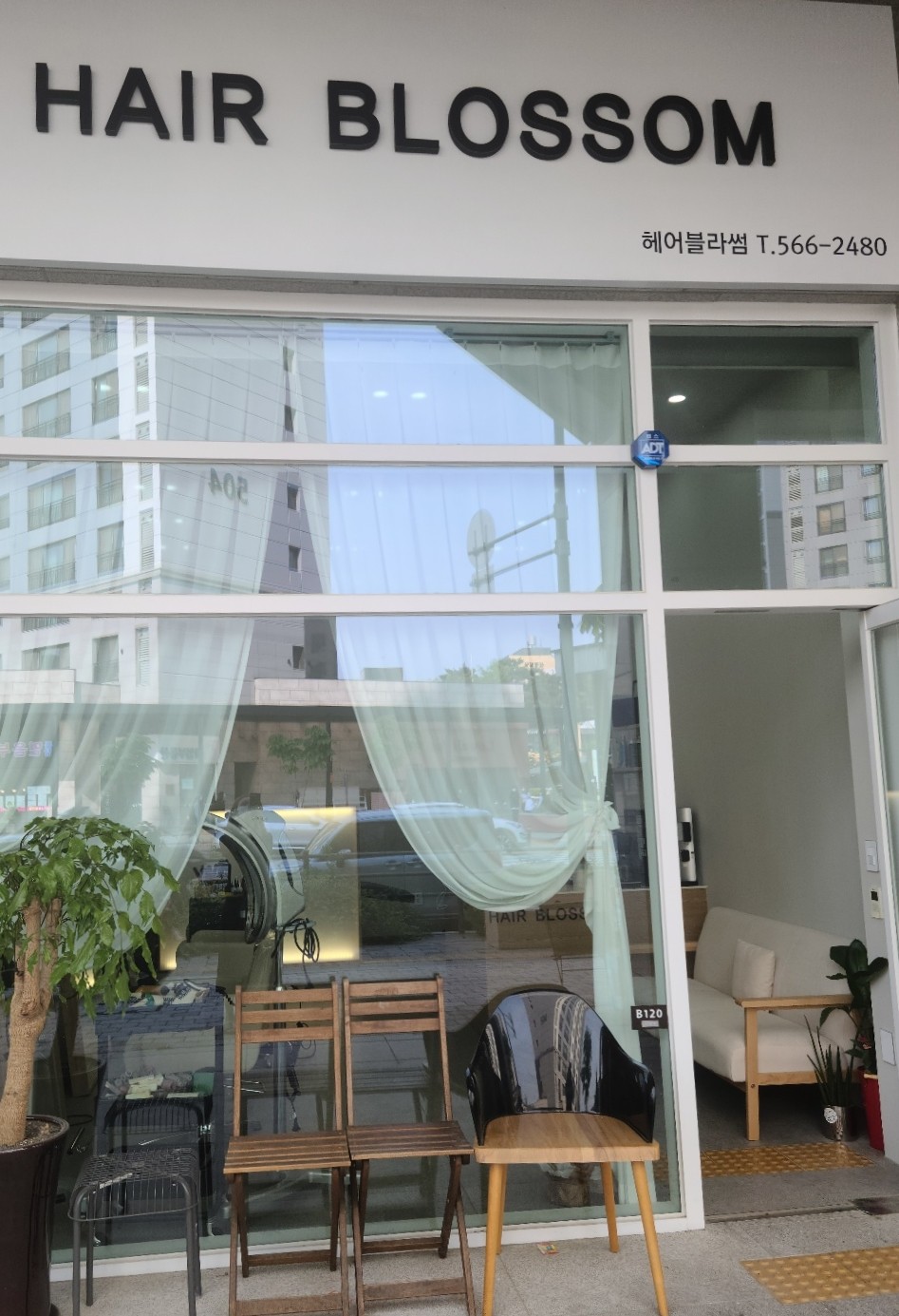 헤어블라썸