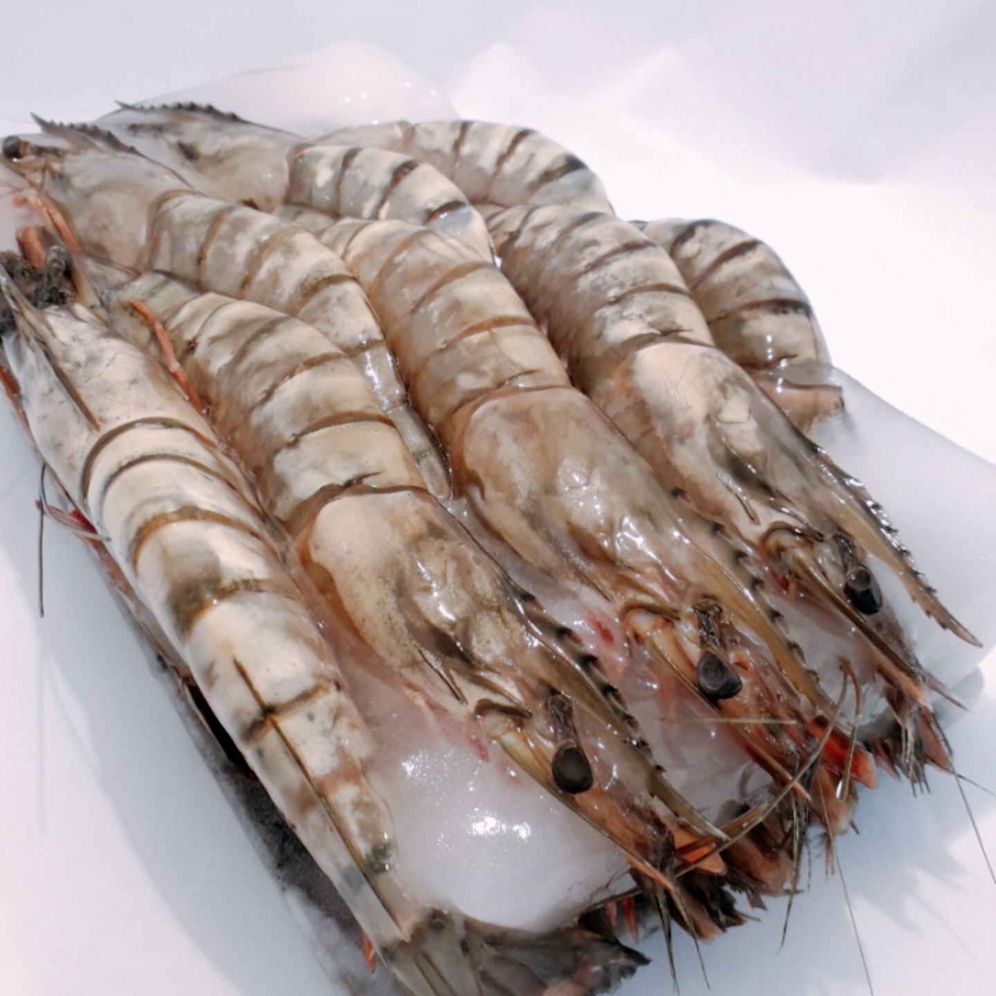 태연푸드트레이딩