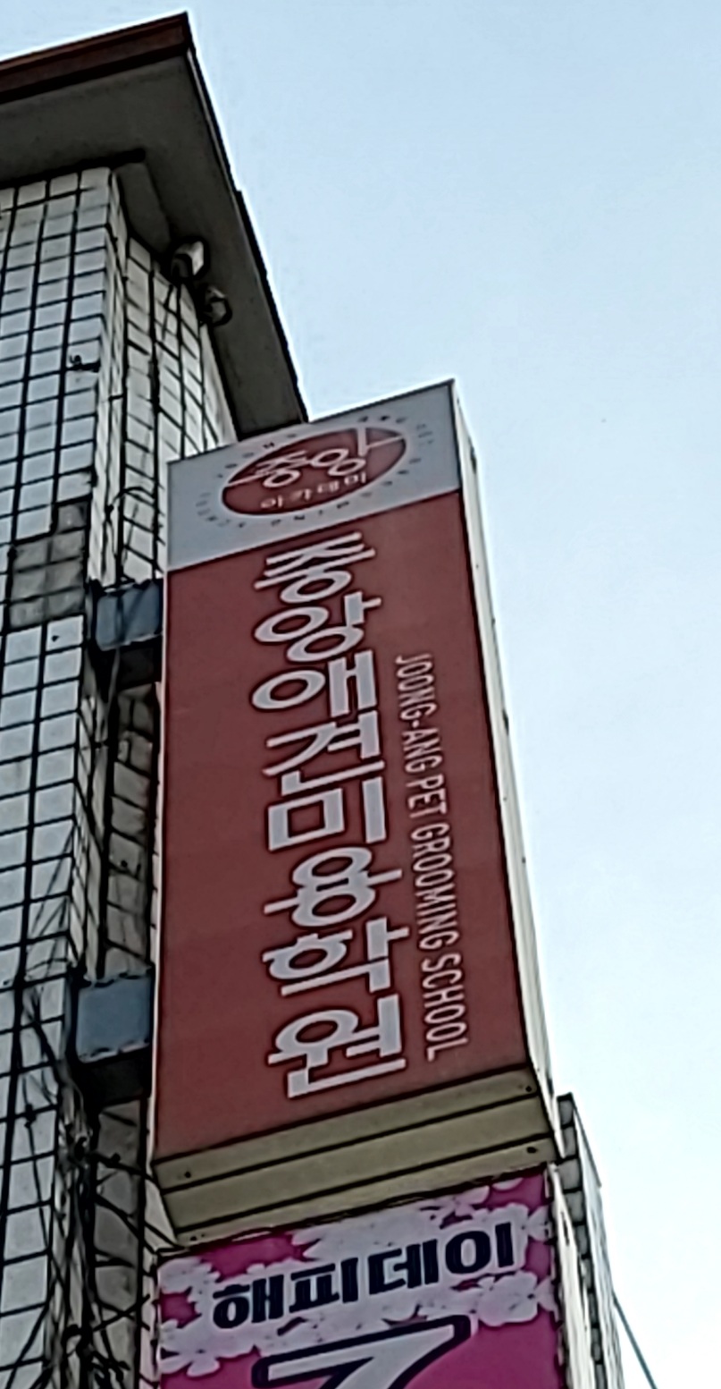 중앙애견미용학원 성남모란점
