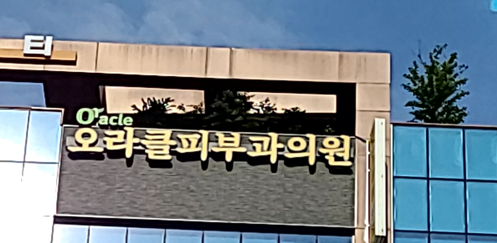 오라클피부과의원 대표 이미지