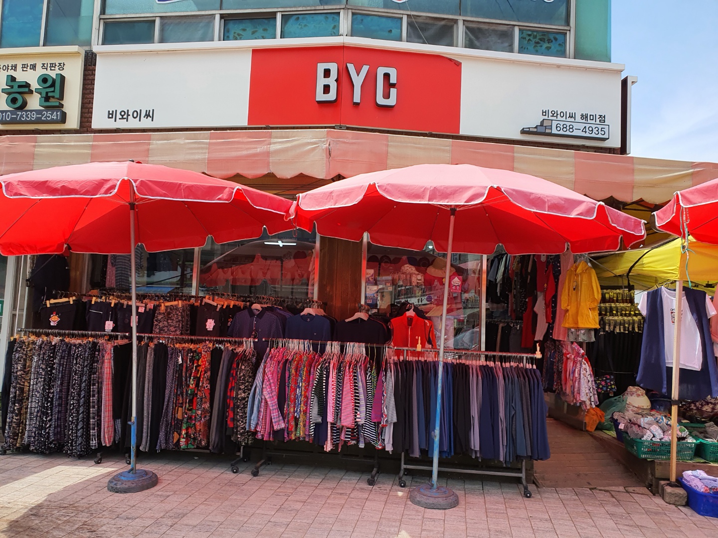 비와이씨