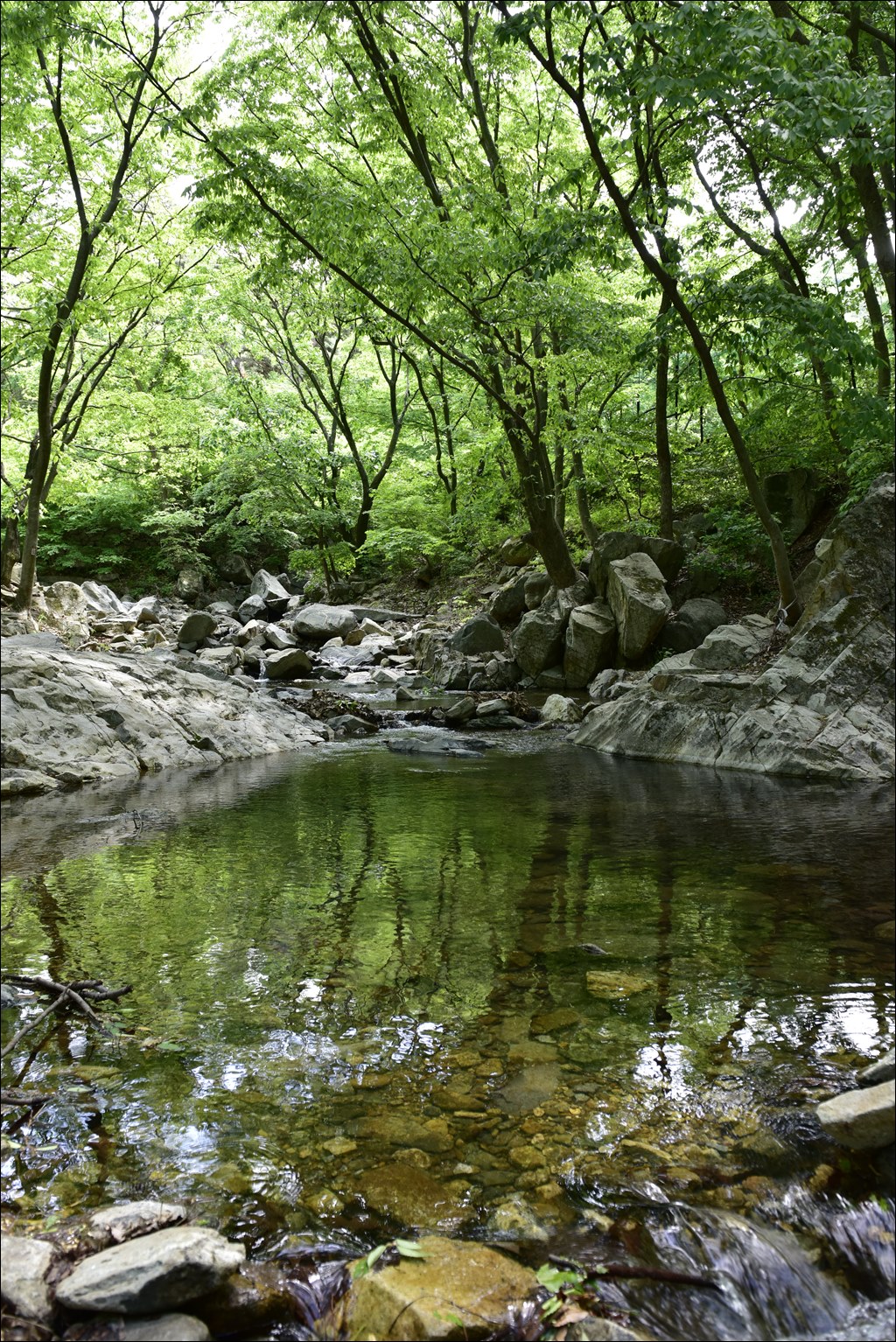 강당골 밤나무계곡 민박