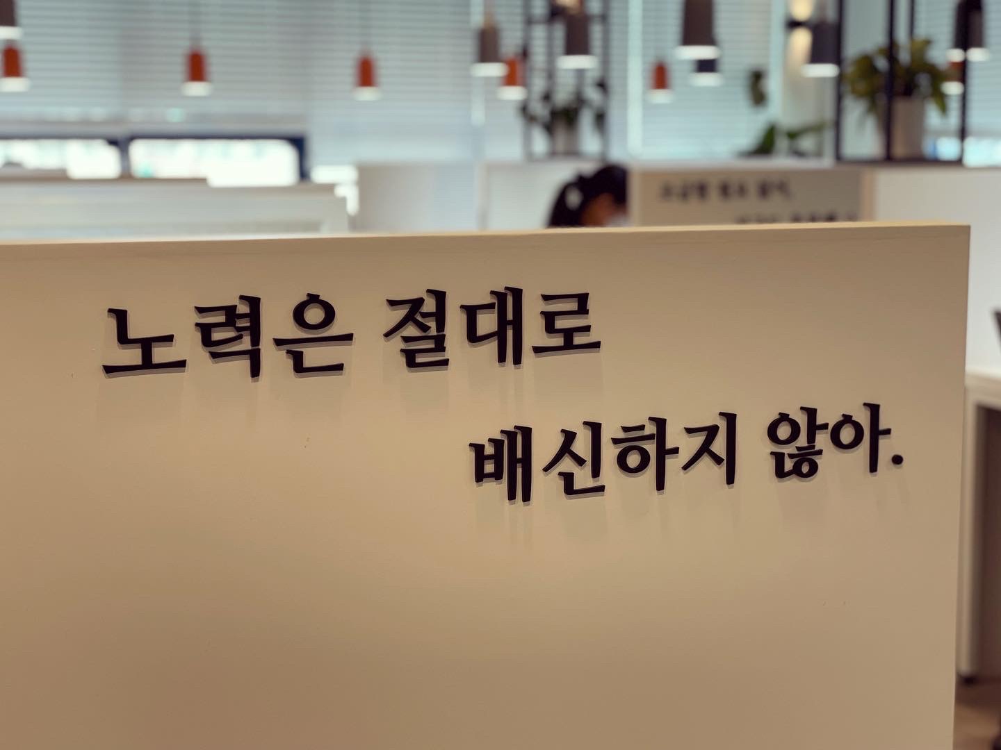 업체사진