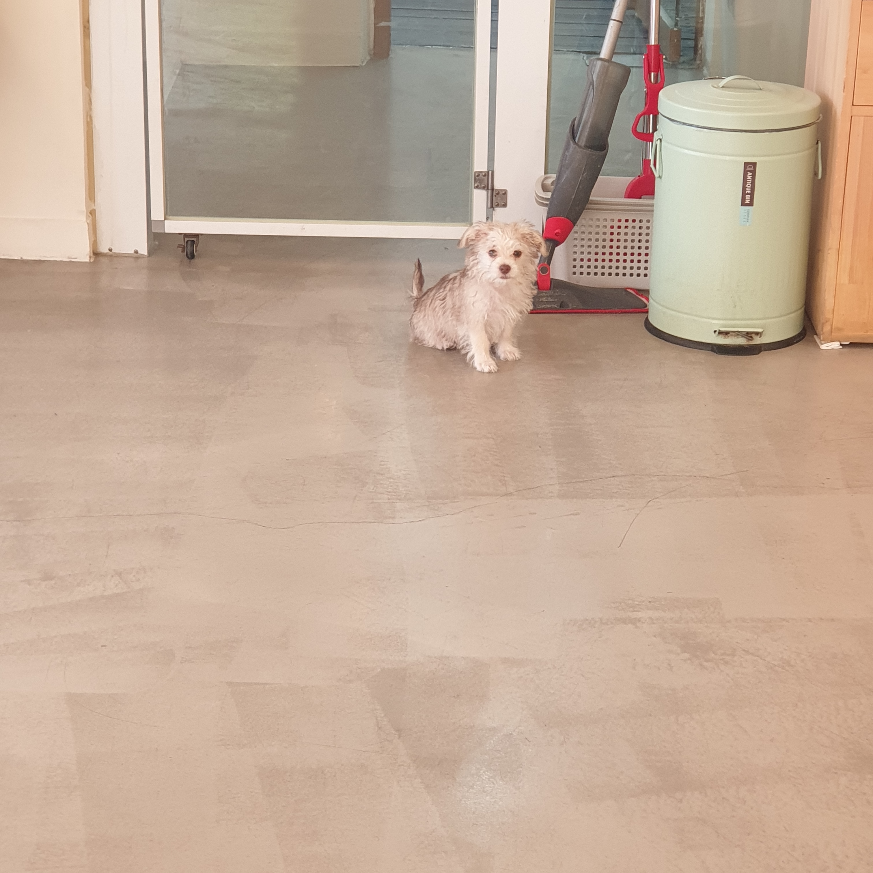 이미지