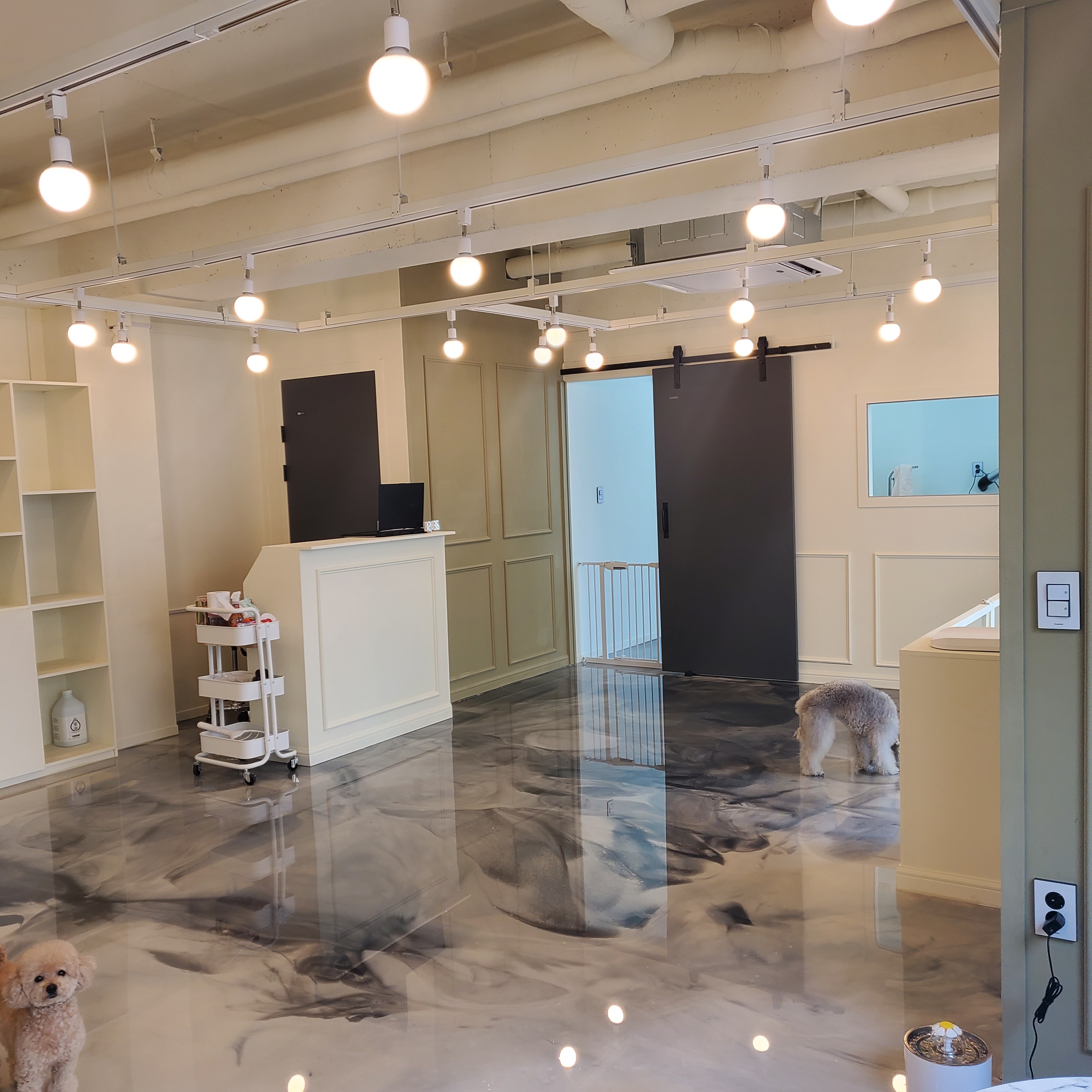 상아지네 대표 이미지