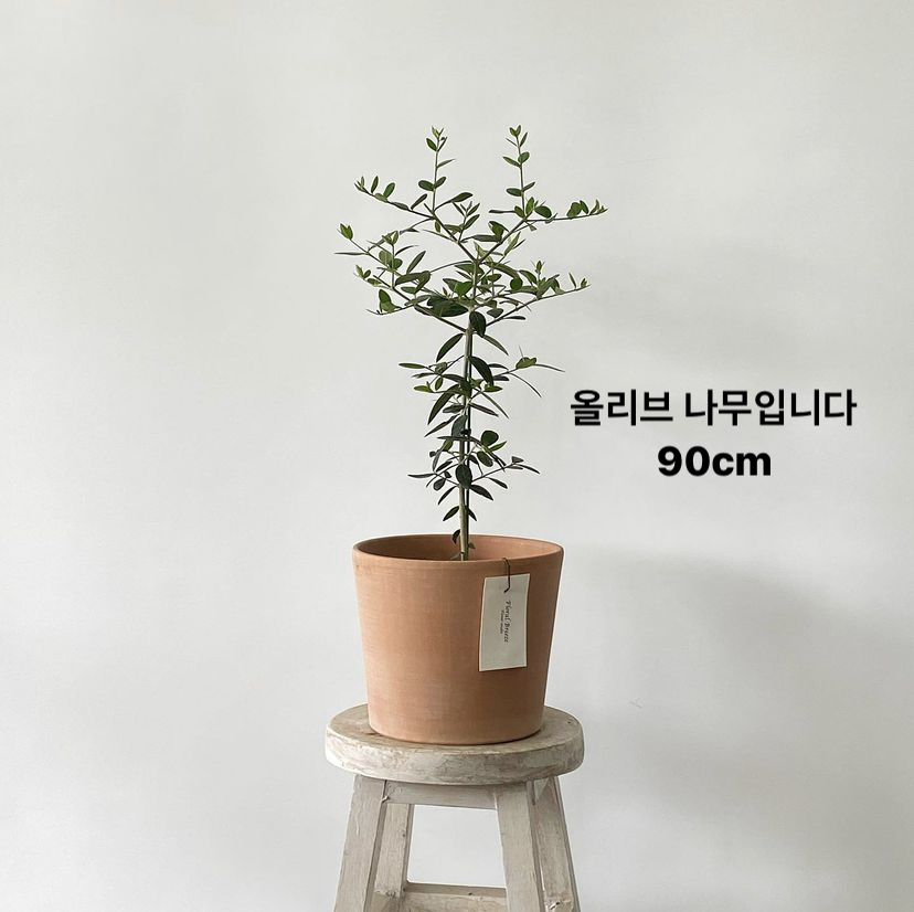 꽃바람화원