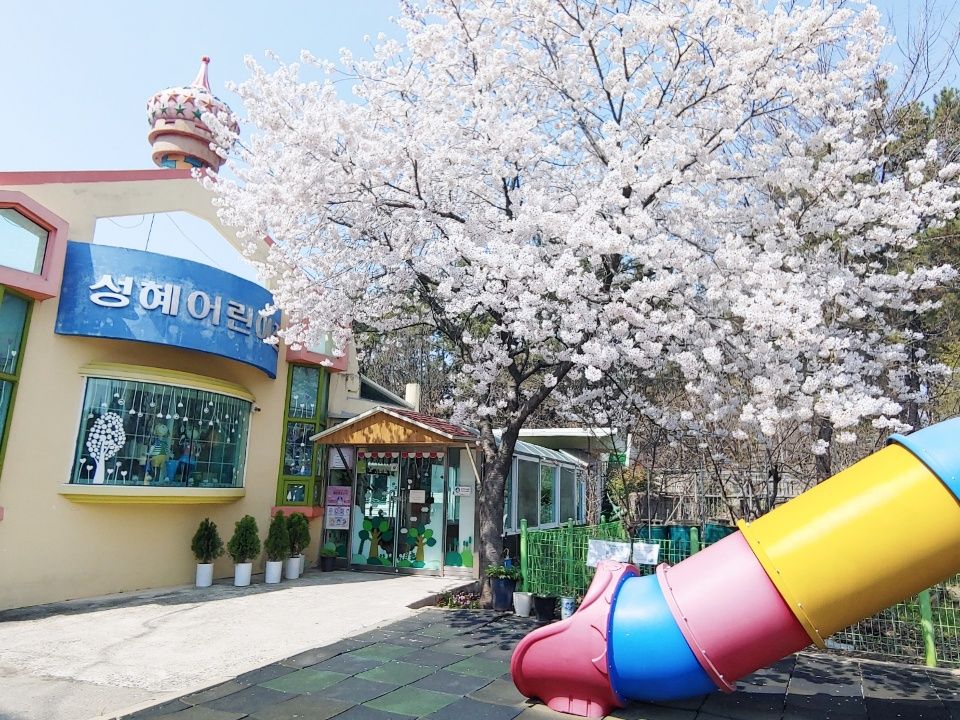 성혜어린이집