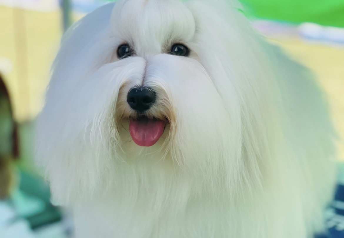 하트멜로디
