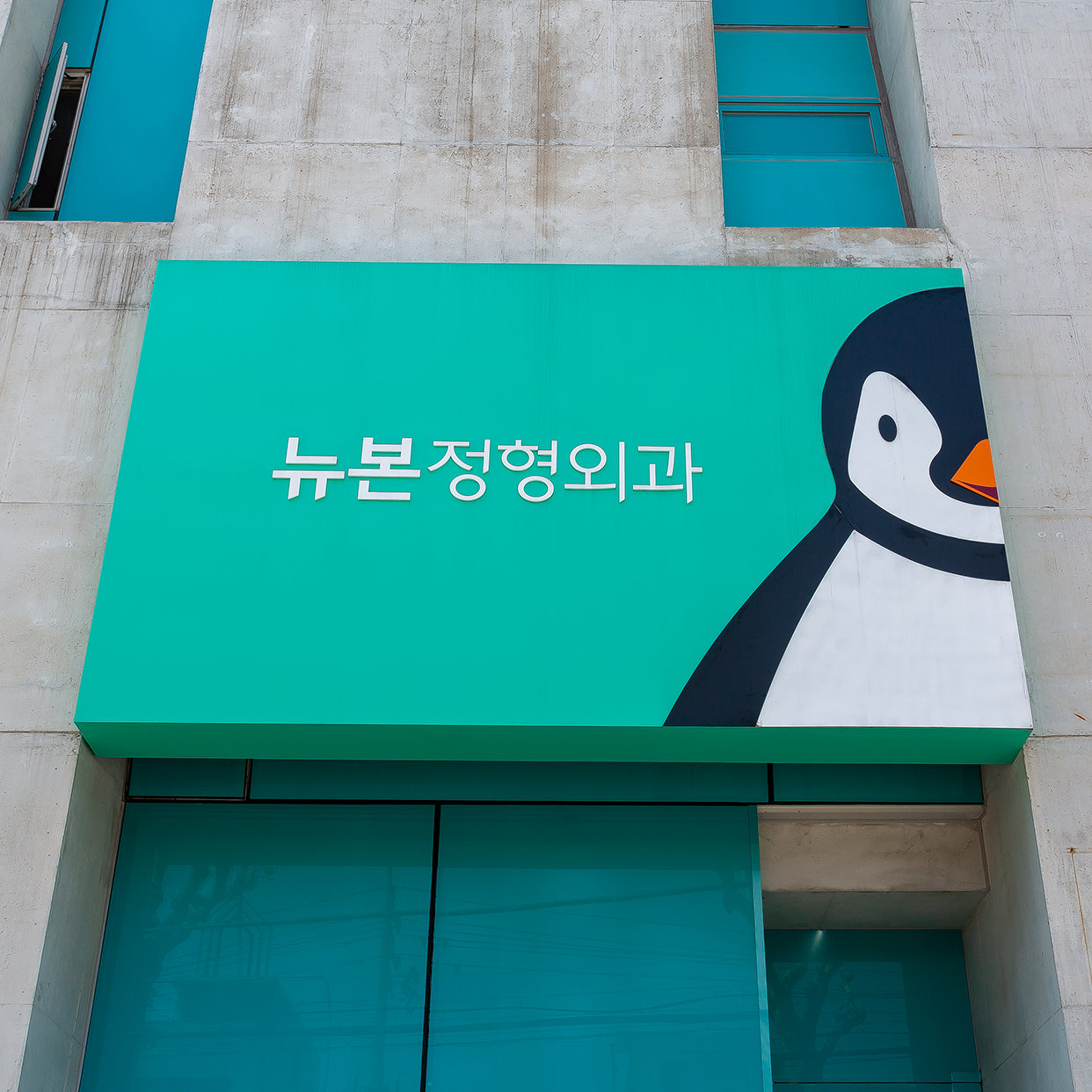 뉴본정형외과의원