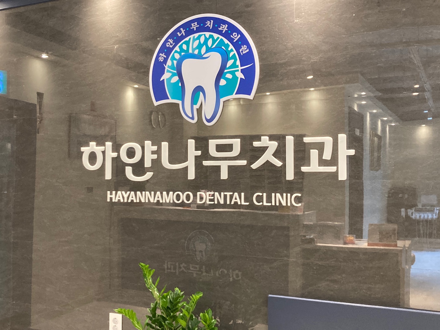 하얀나무치과의원