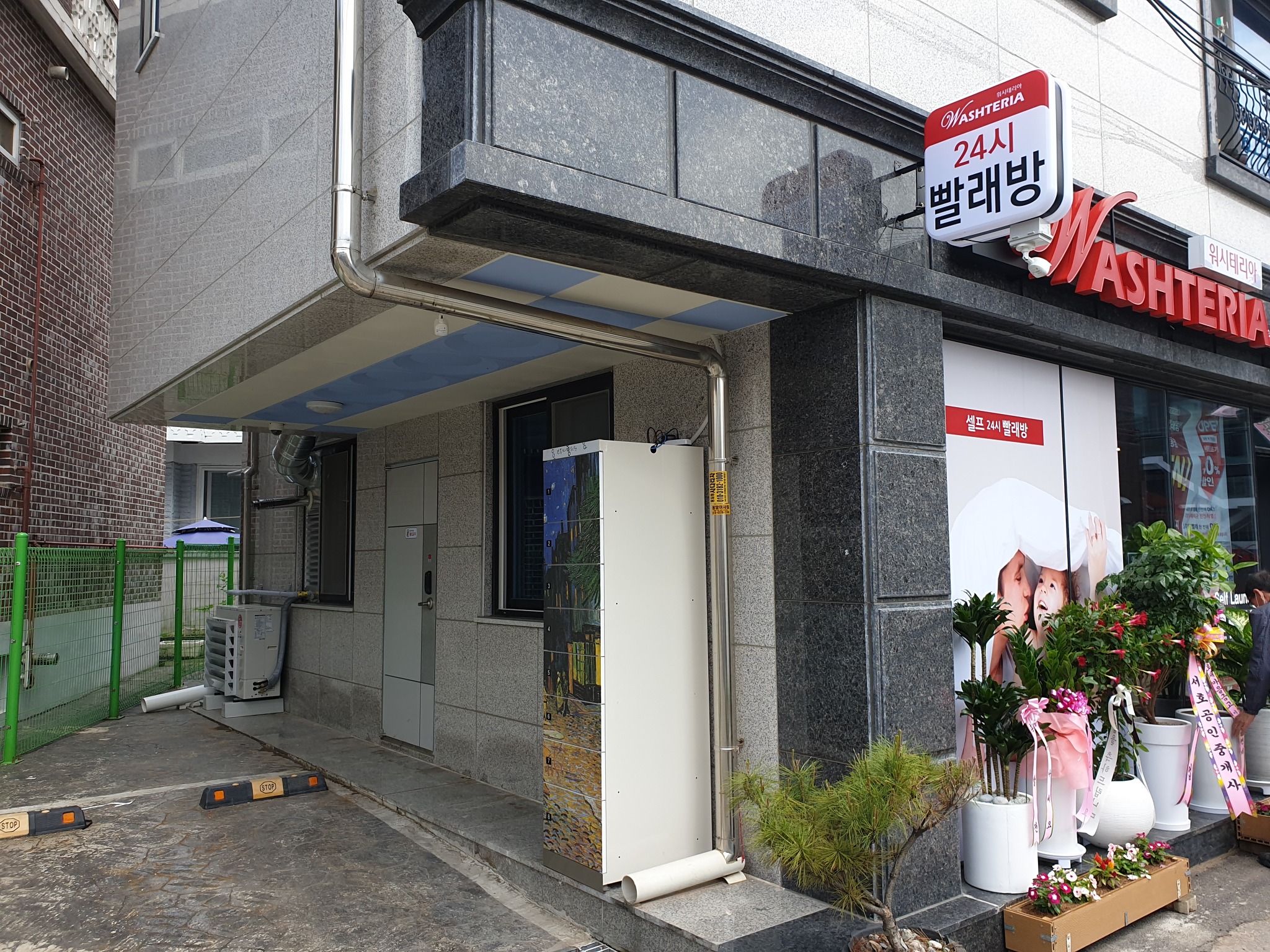 워시테리아 서둔동점