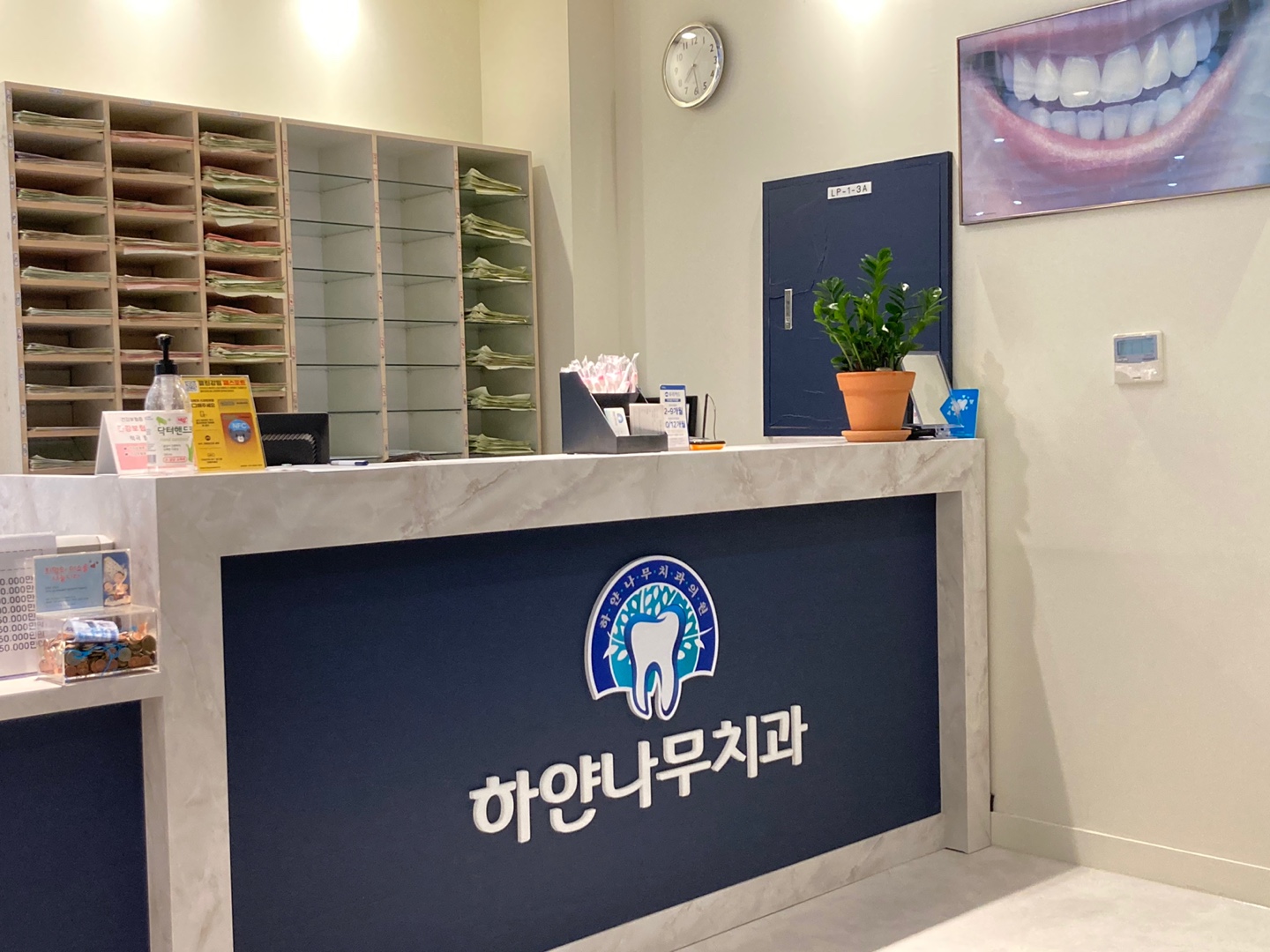 하얀나무치과의원 대표 이미지
