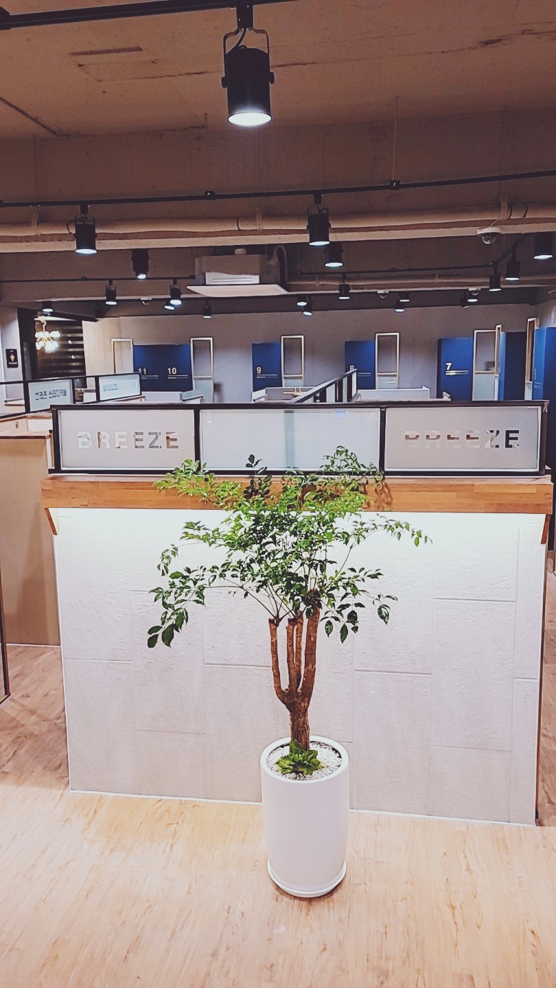 업체사진