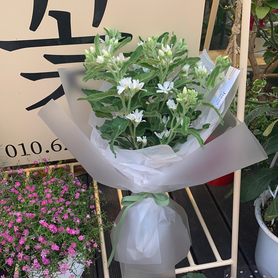 지우꽃집
