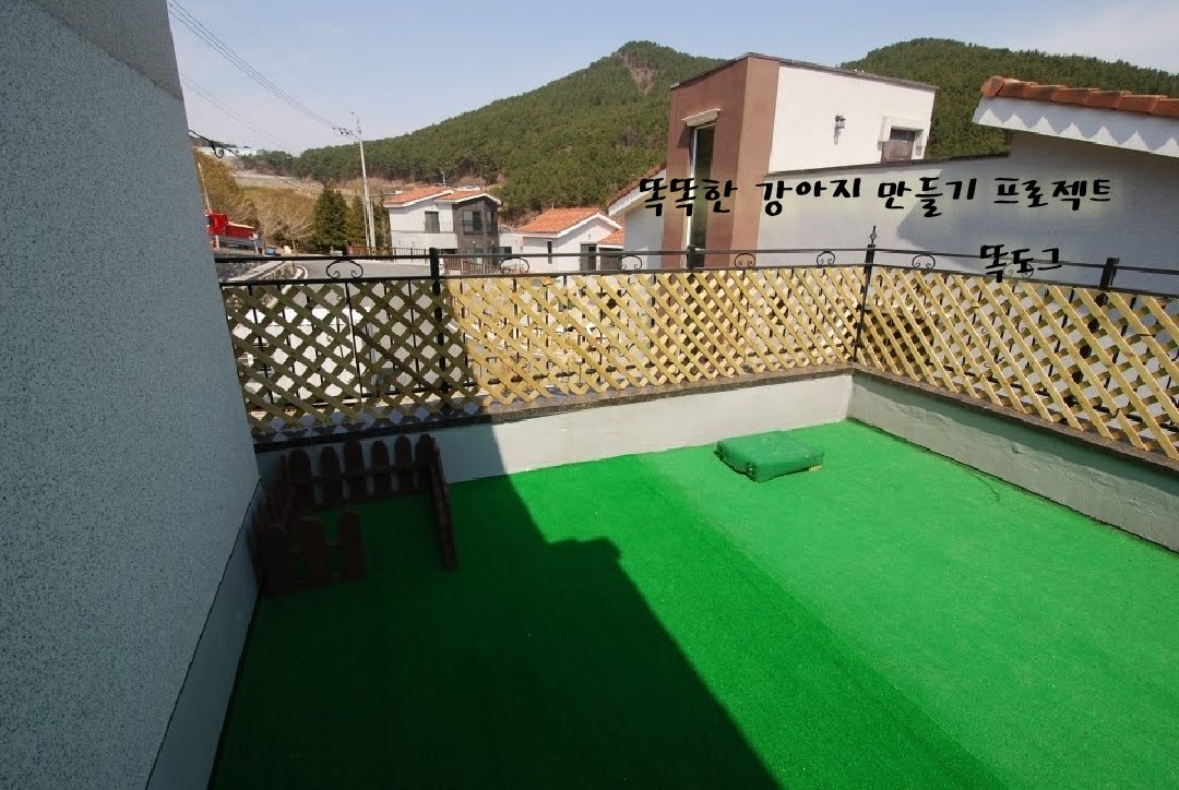 똑도그 대표 이미지