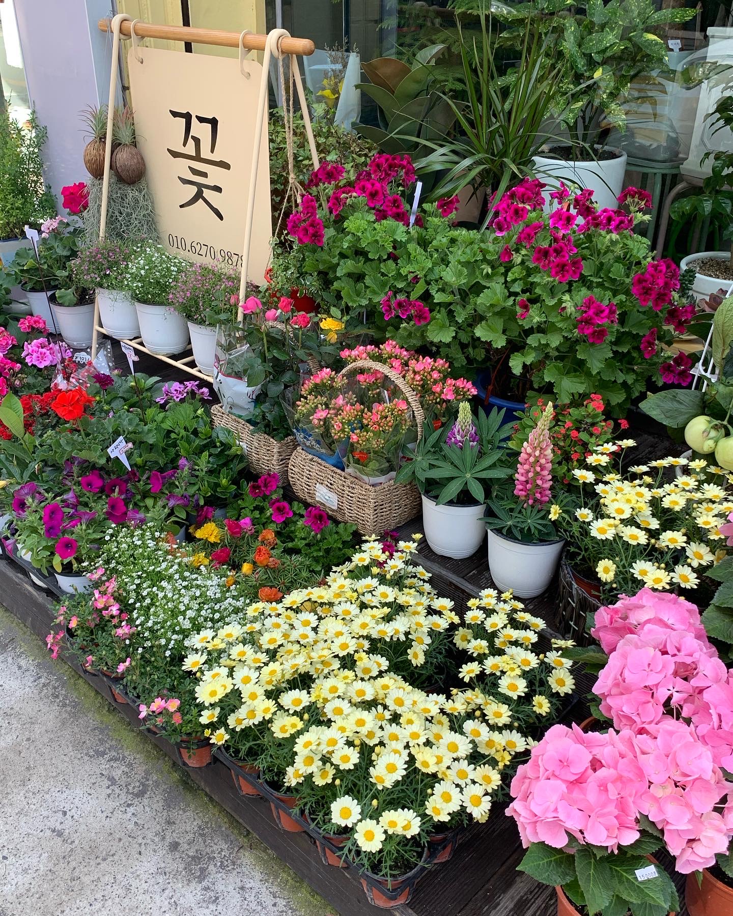 지우꽃집