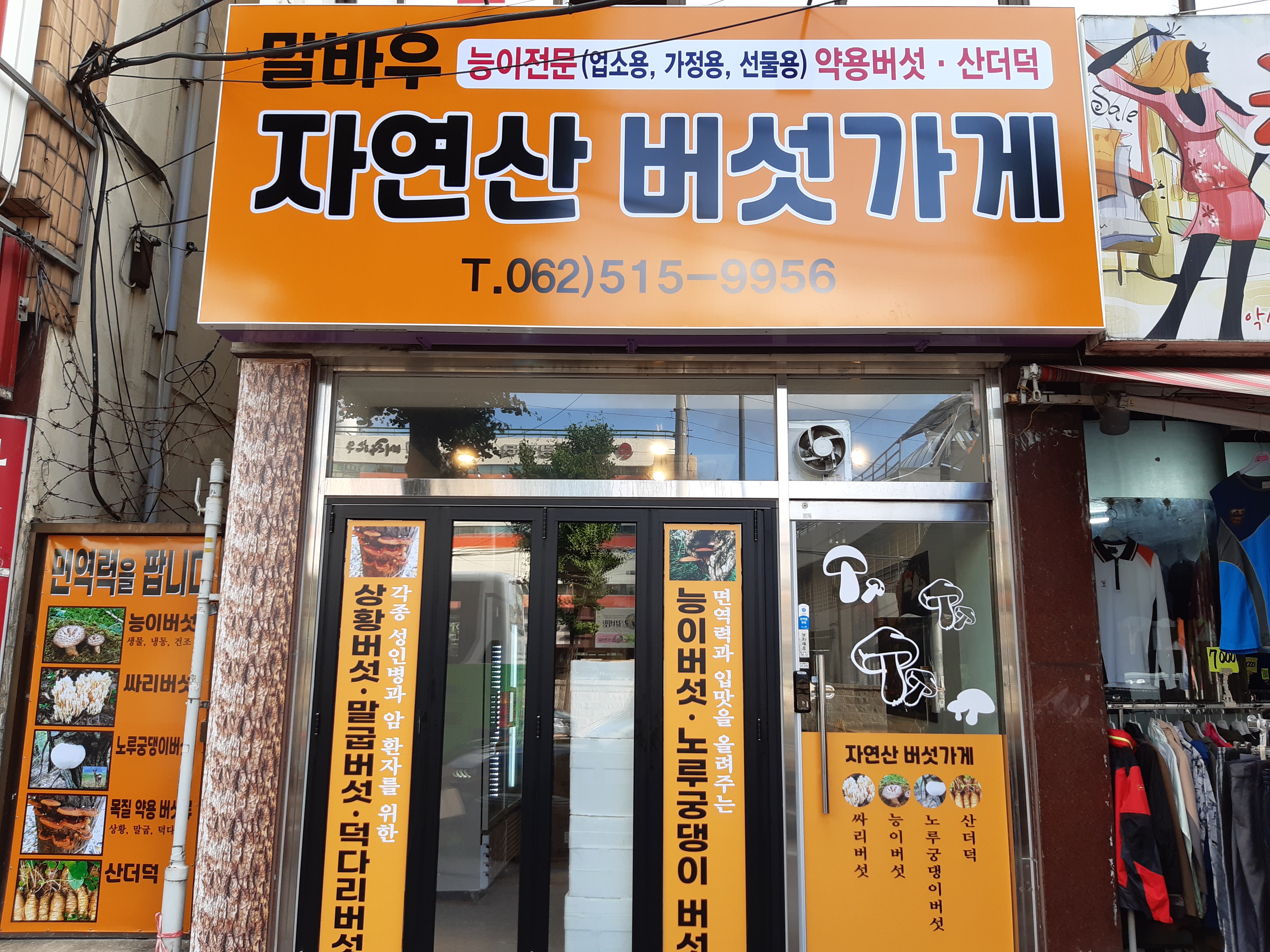 말바우 자연산 능이버섯가게